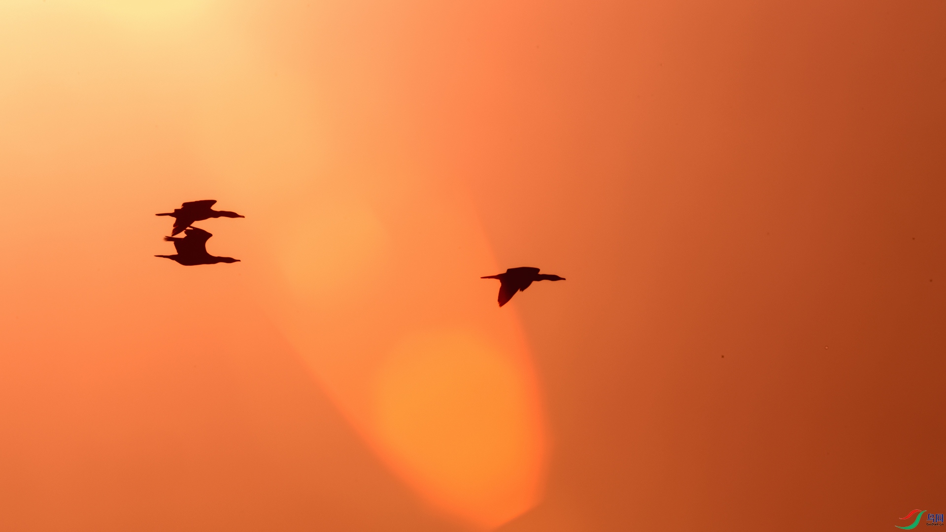 DSC_9095_DxOa.jpg