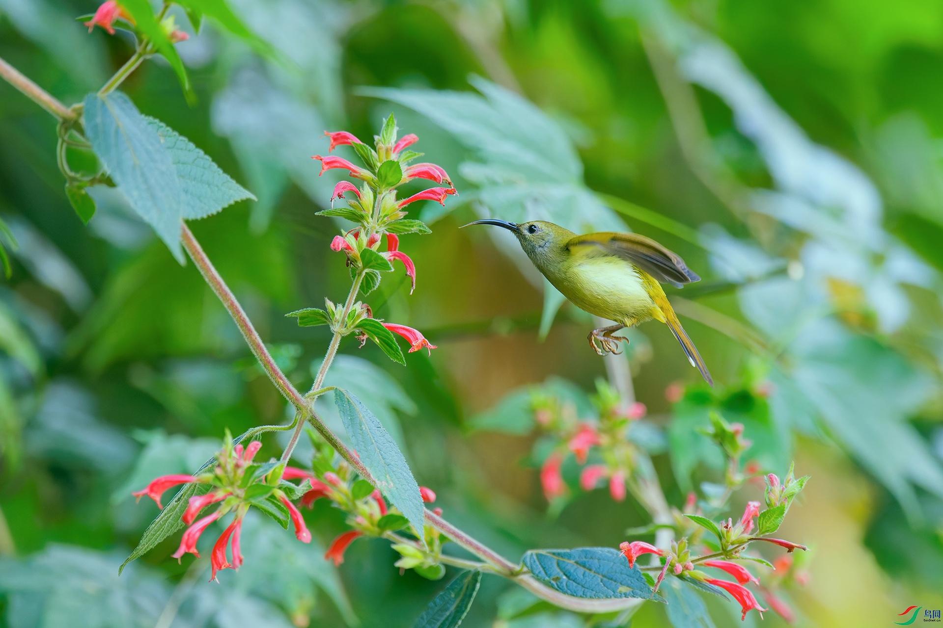 DSC_7258_DxO_DxOa.jpg