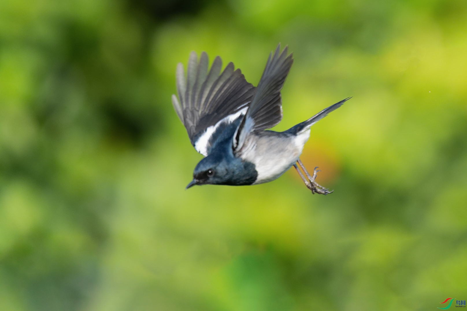 DSC_7051_DxOa.jpg