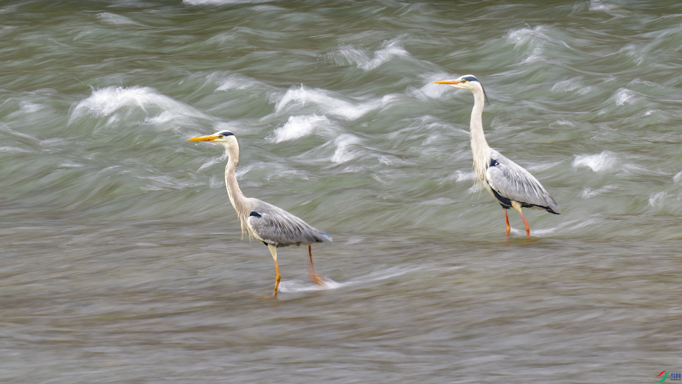 DSC_0360_DxO.jpg