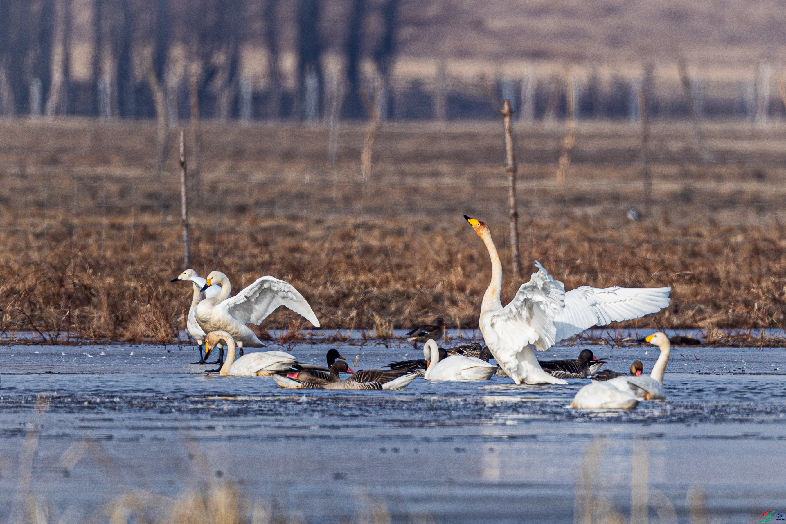 ��������2