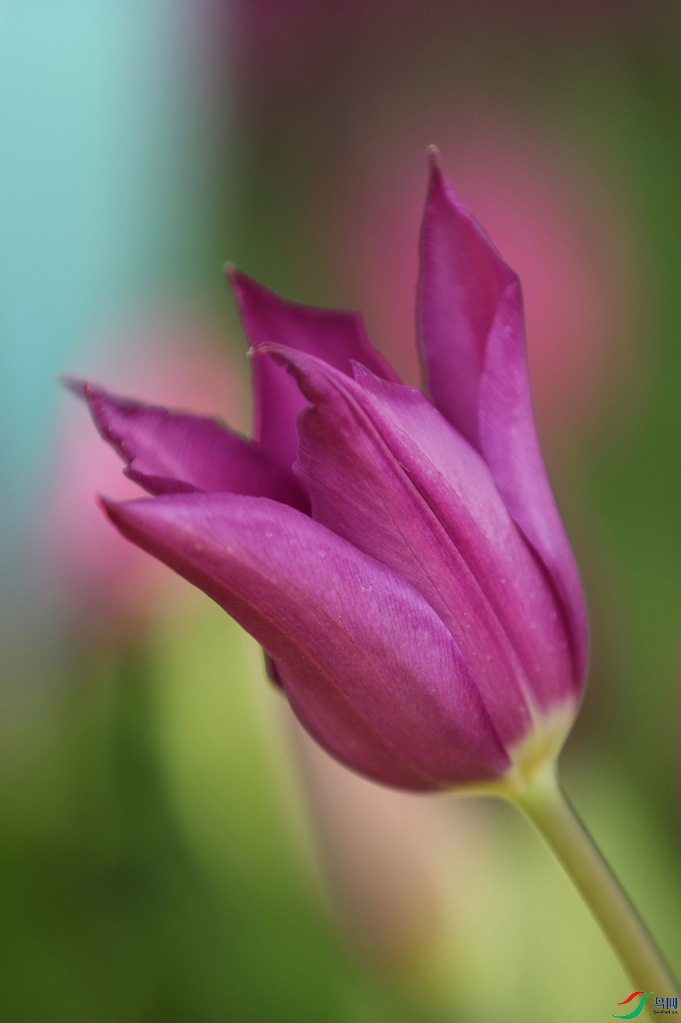 3X7A7151.JPG