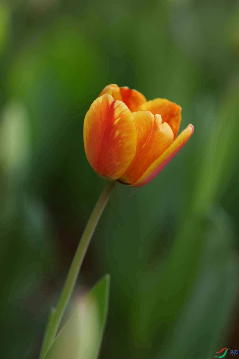 3X7A7200.JPG