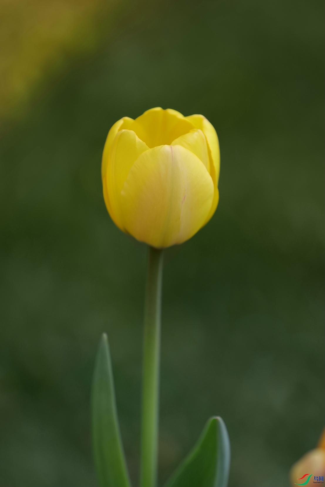 3X7A7204.JPG