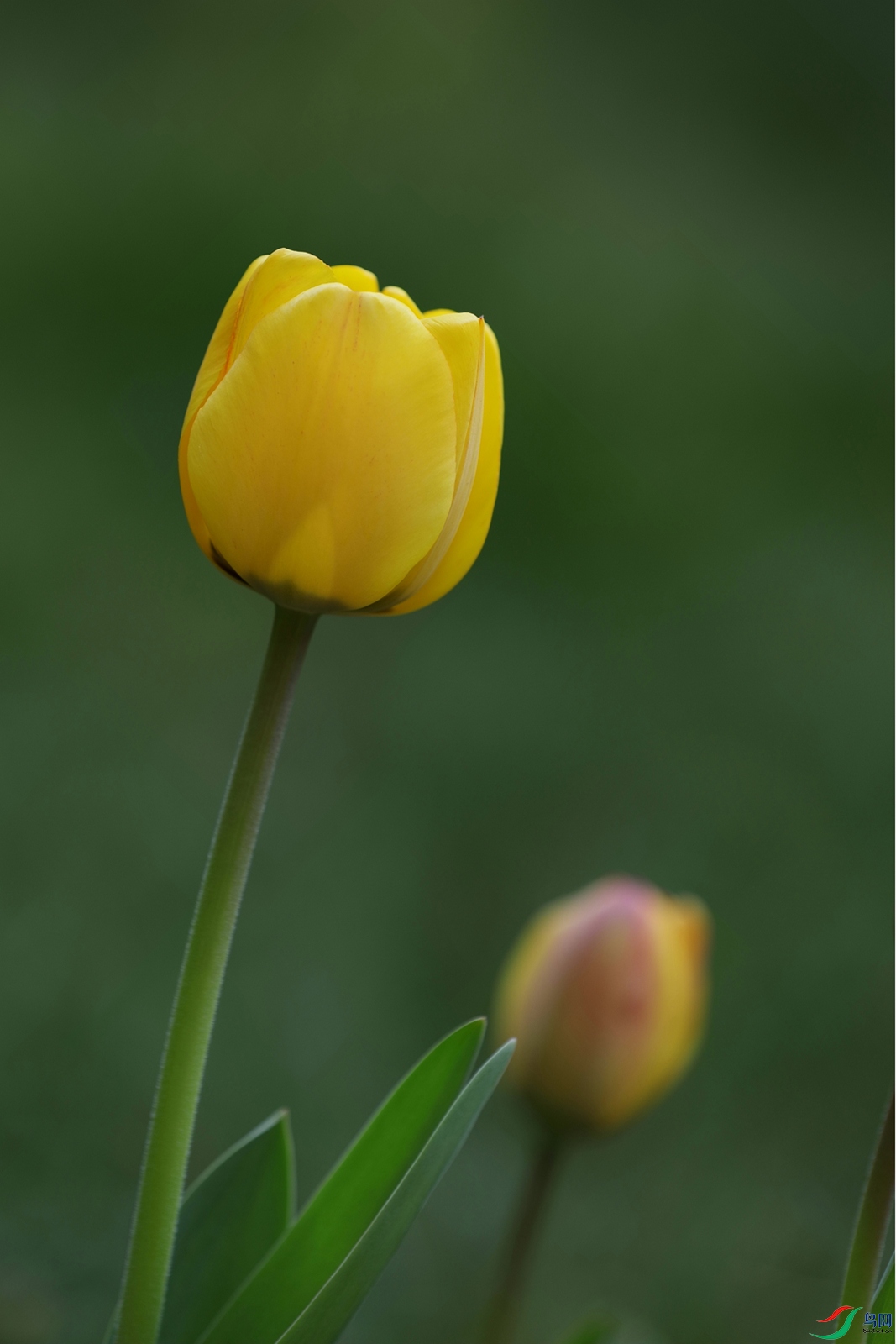3X7A7207.JPG