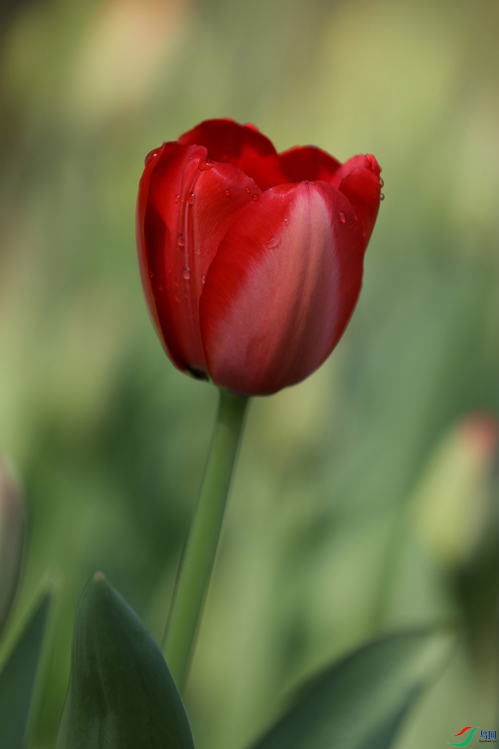 3X7A7351.JPG