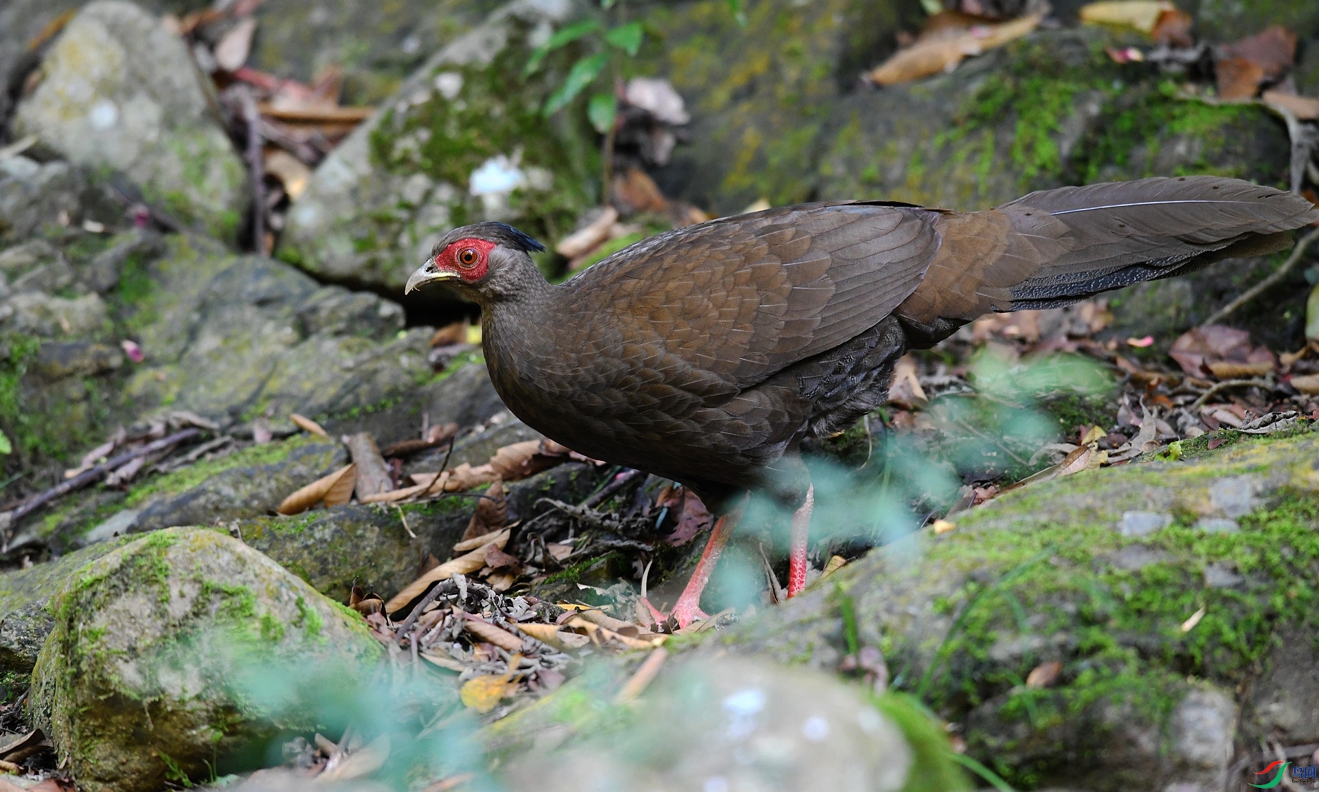DSC_2105.jpg