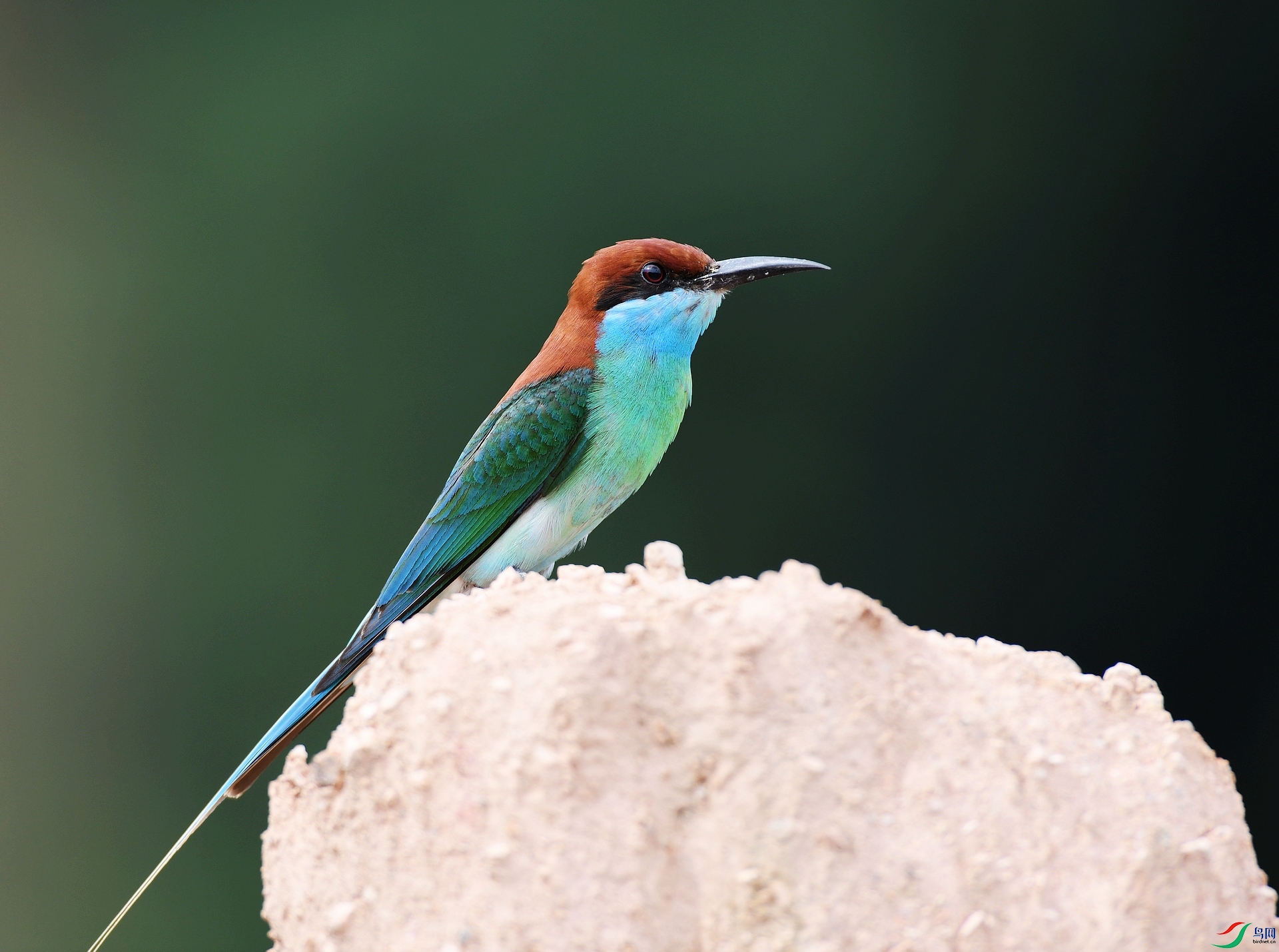 DSC_8838.jpg