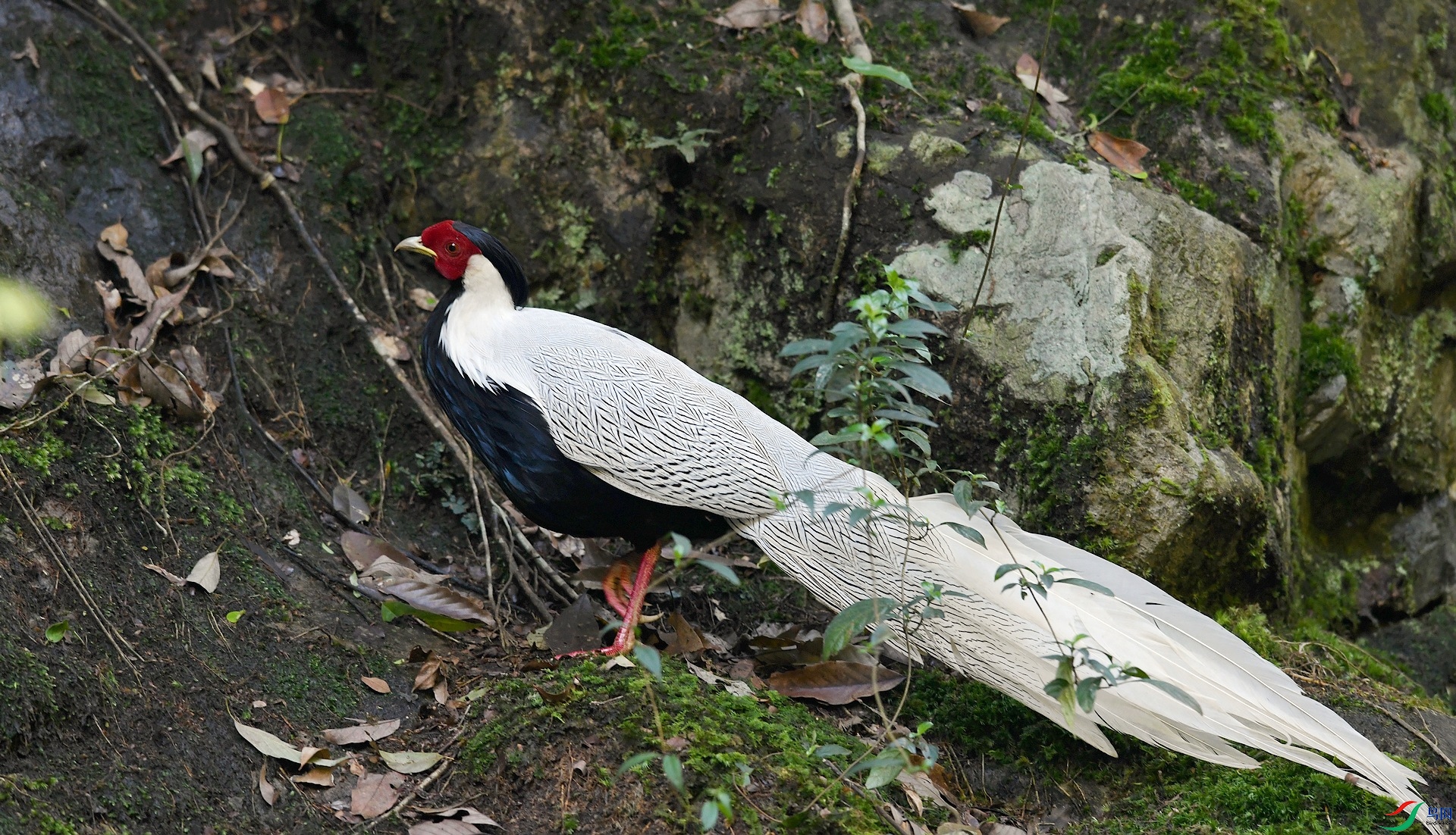 DSC_2284.jpg