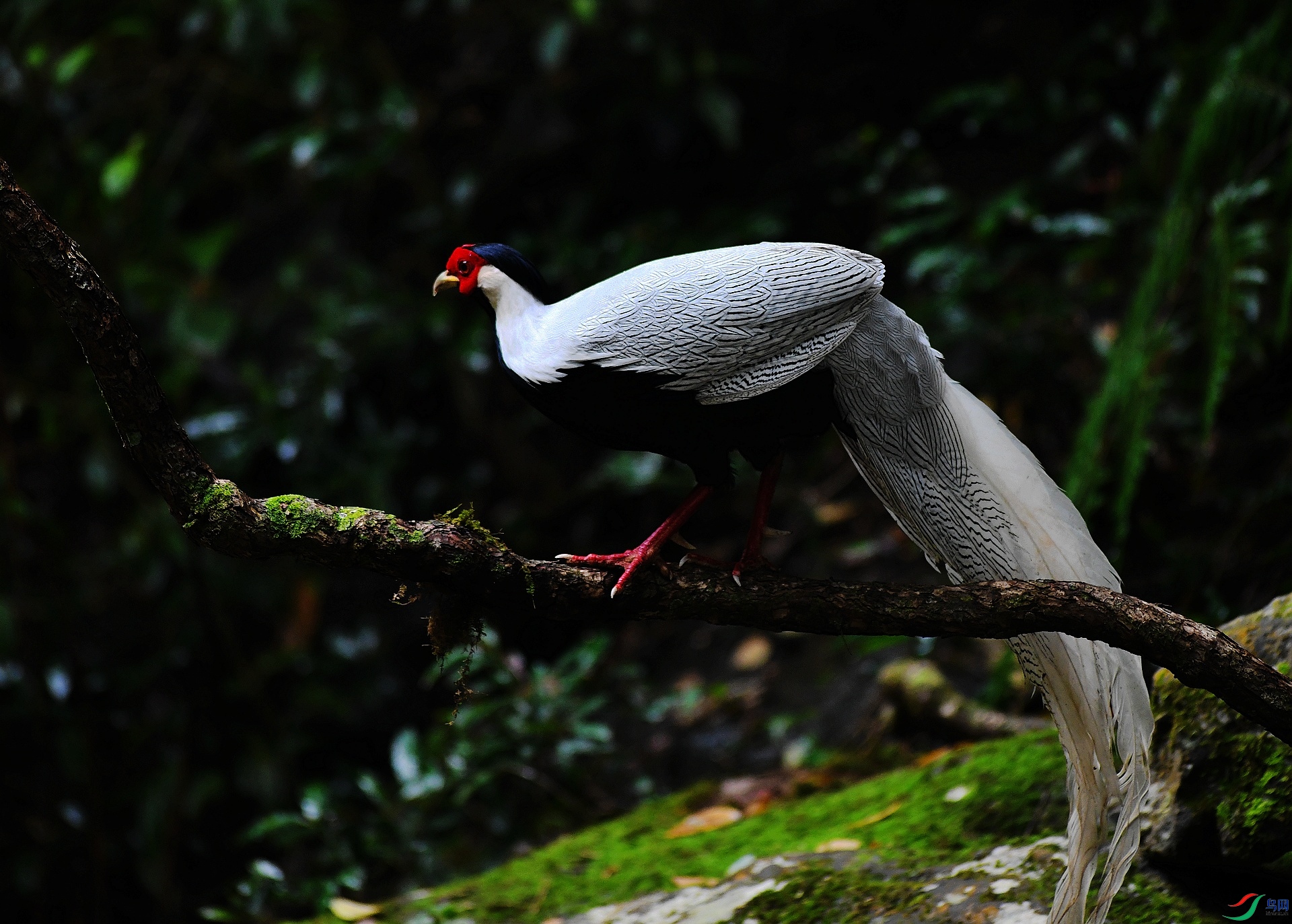 DSC_8117.jpg