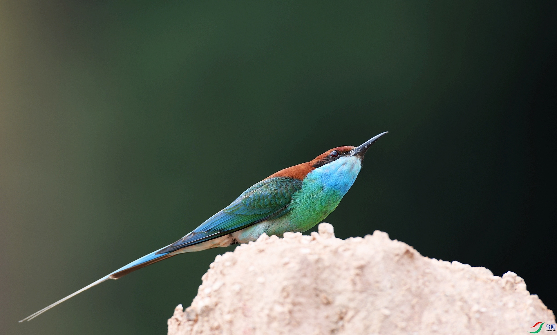 DSC_8839.jpg