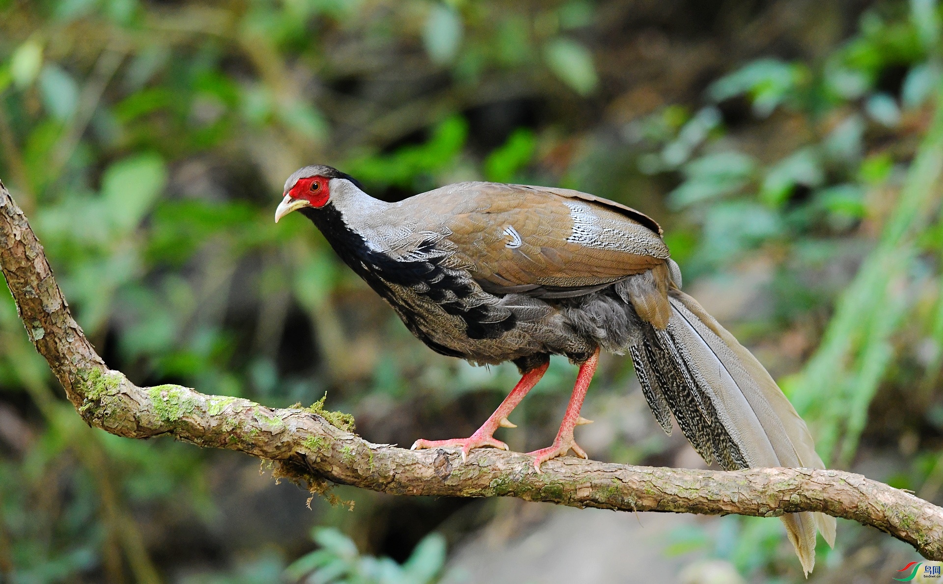 DSC_8629.jpg
