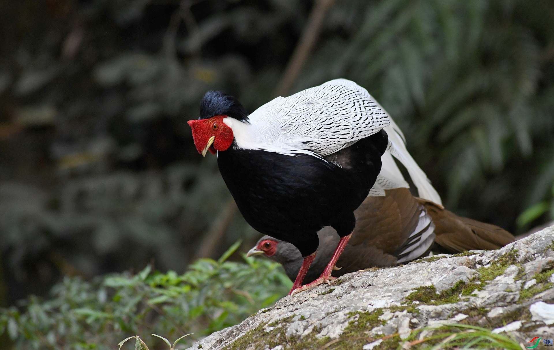 DSC_8842.jpg