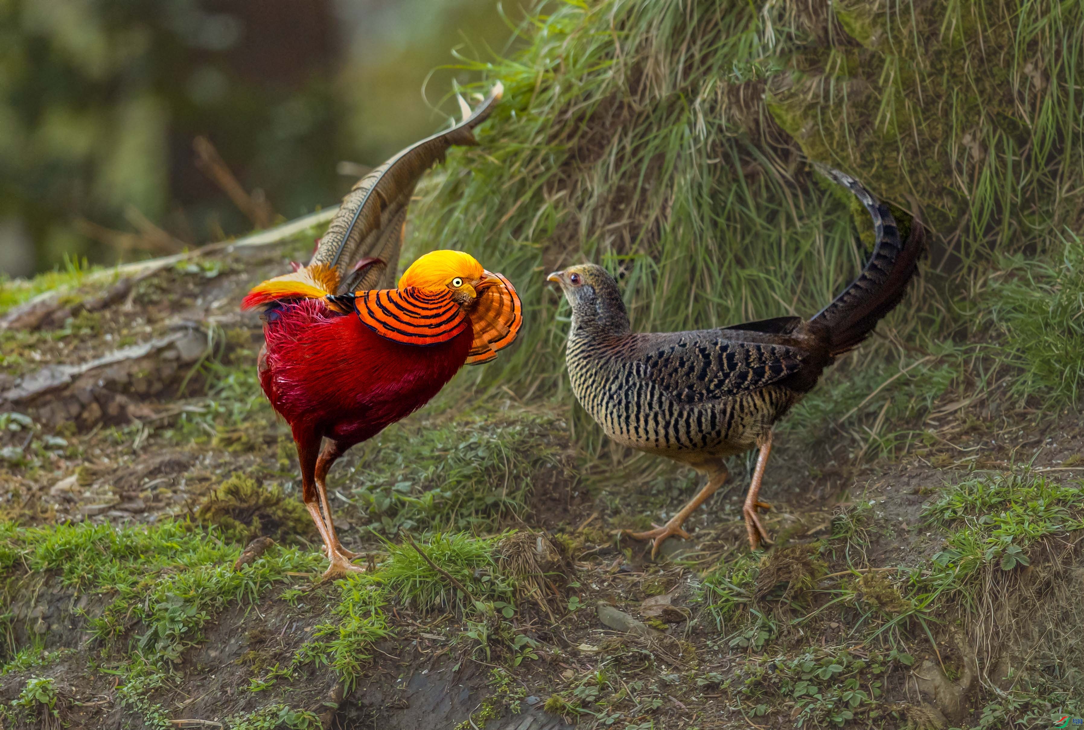 0N6A7851 ������ż2.jpg