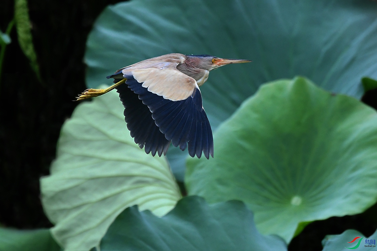 DSC_5728.JPG