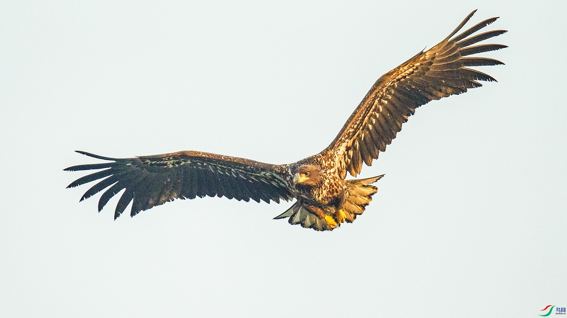 _MG_0653 ���� 2.jpg