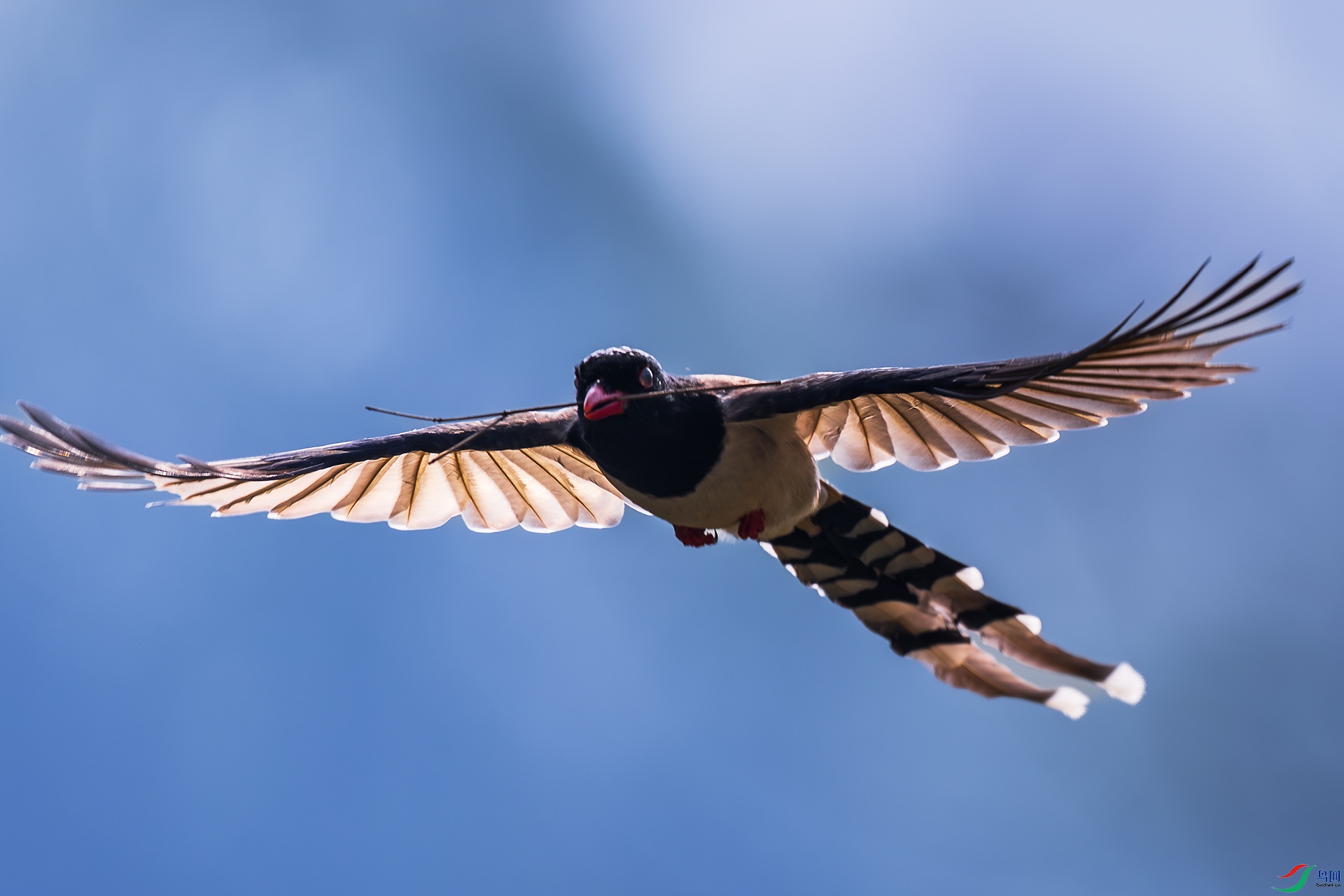 _F9A4205 ����.jpg