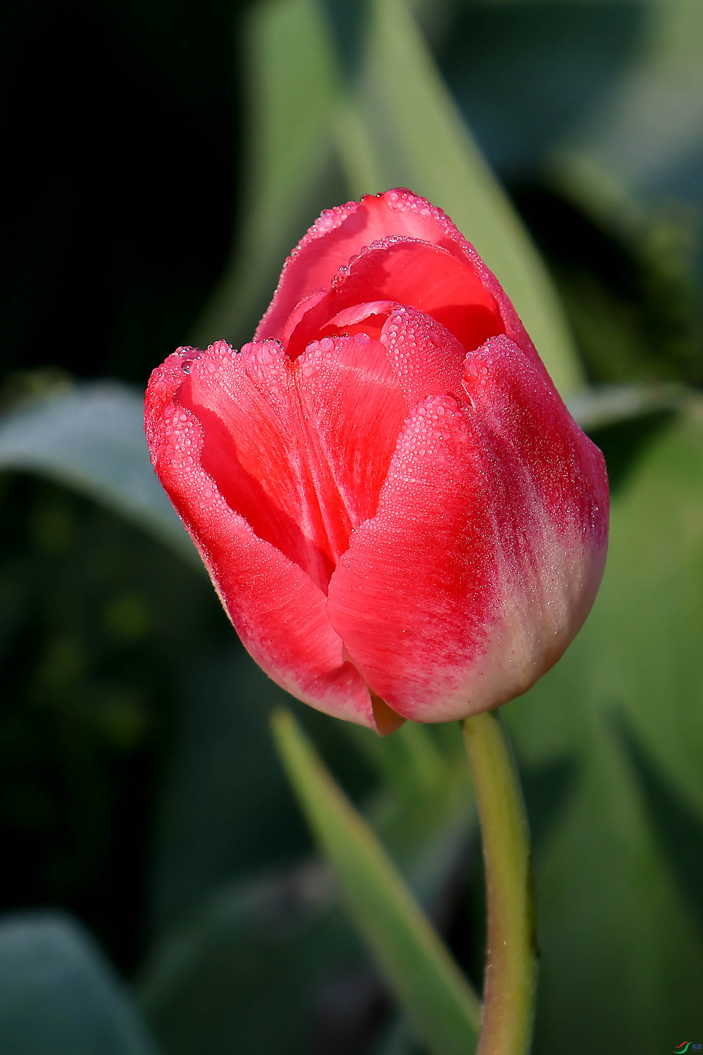 2G9A3884.JPG