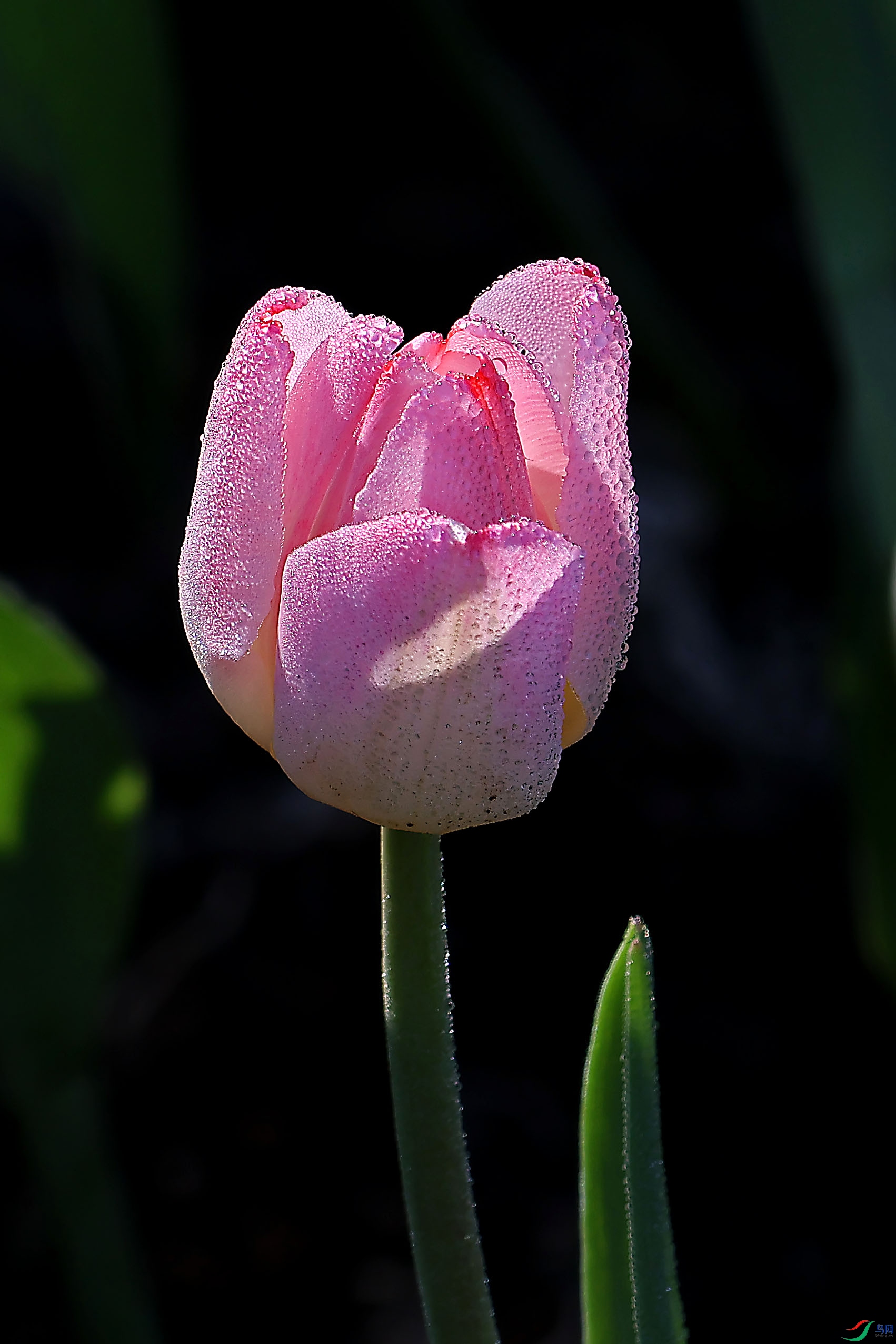 2G9A3891.JPG