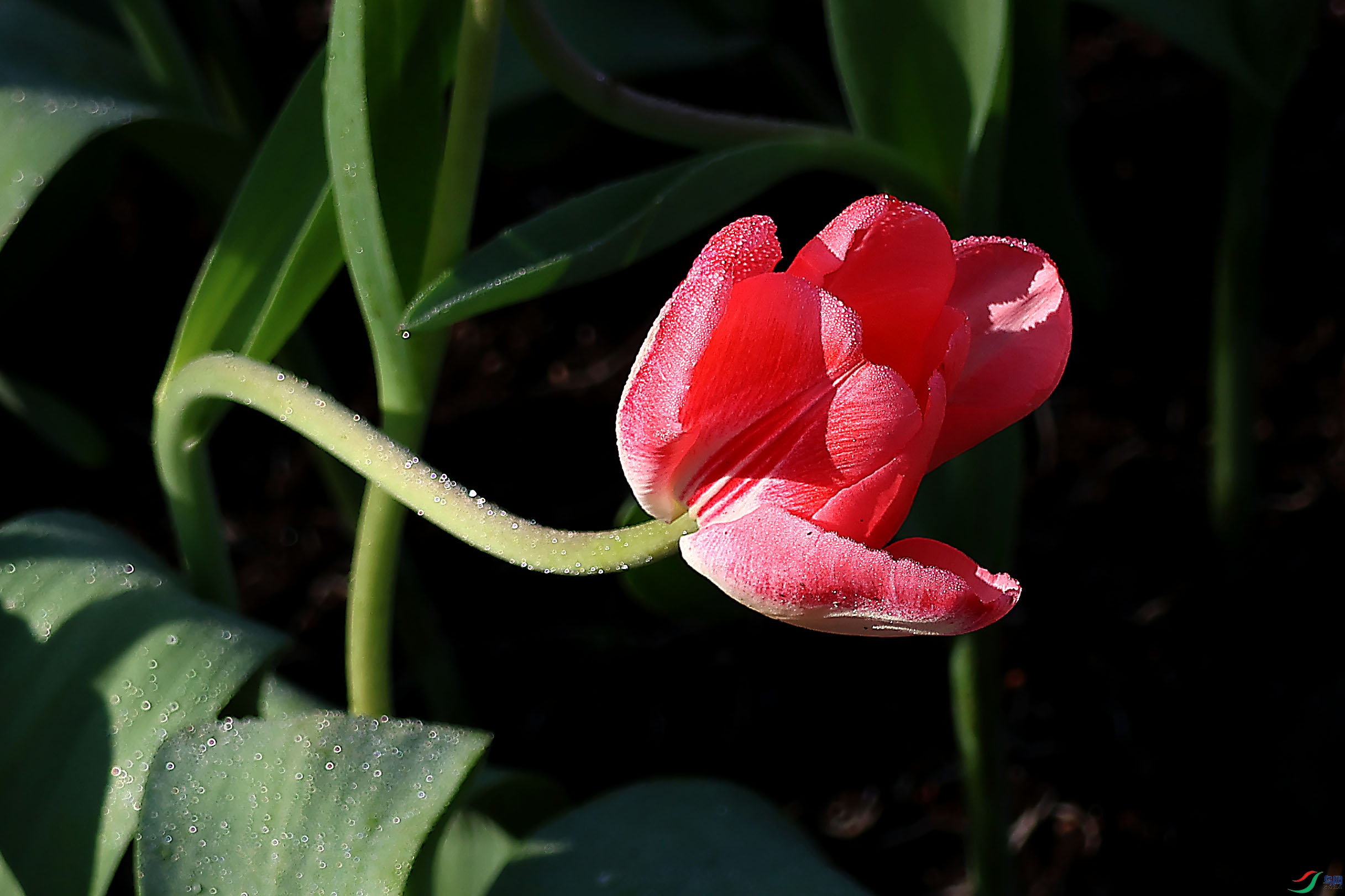 2G9A3890.JPG