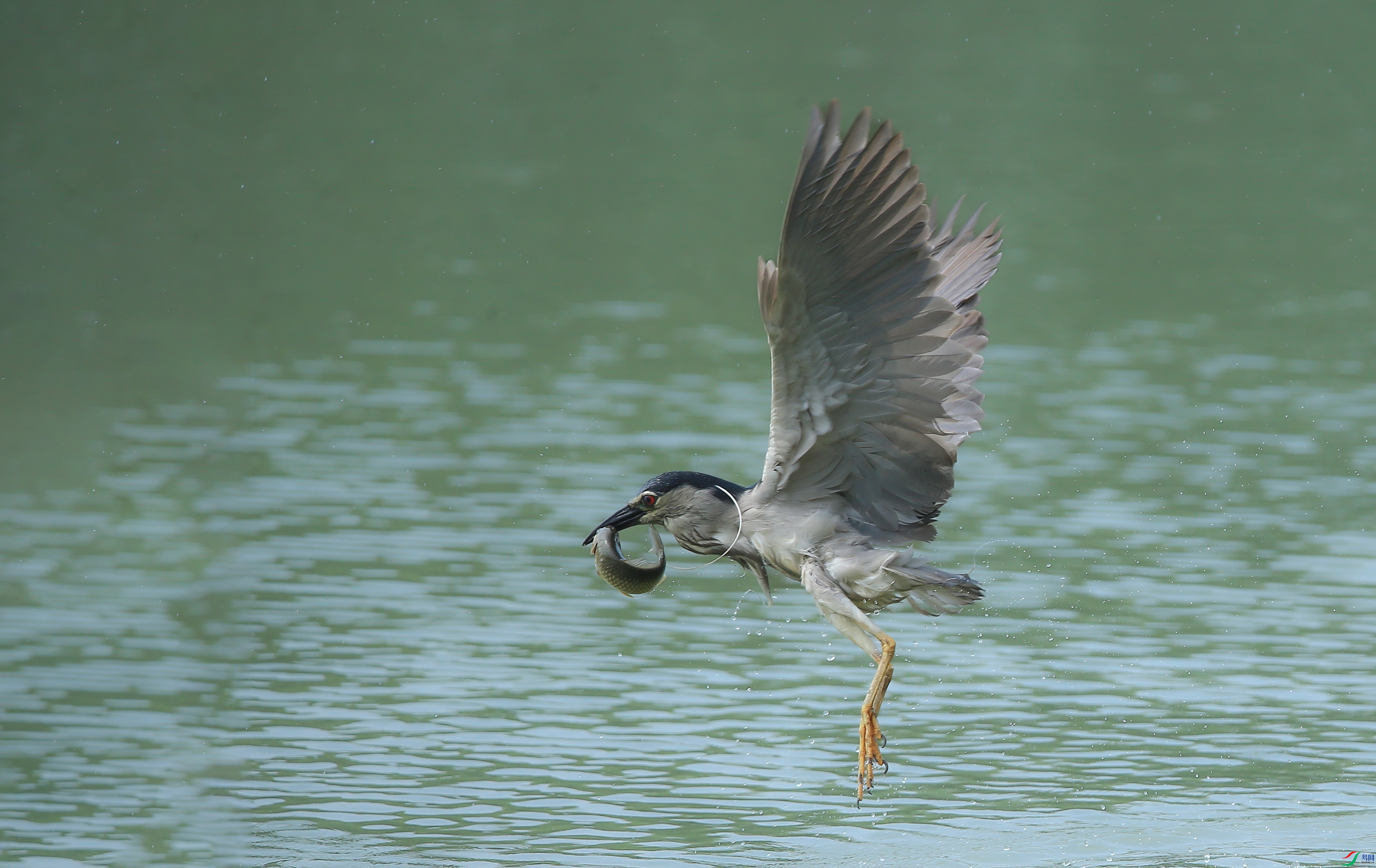 AM6Y0078 ����.jpg