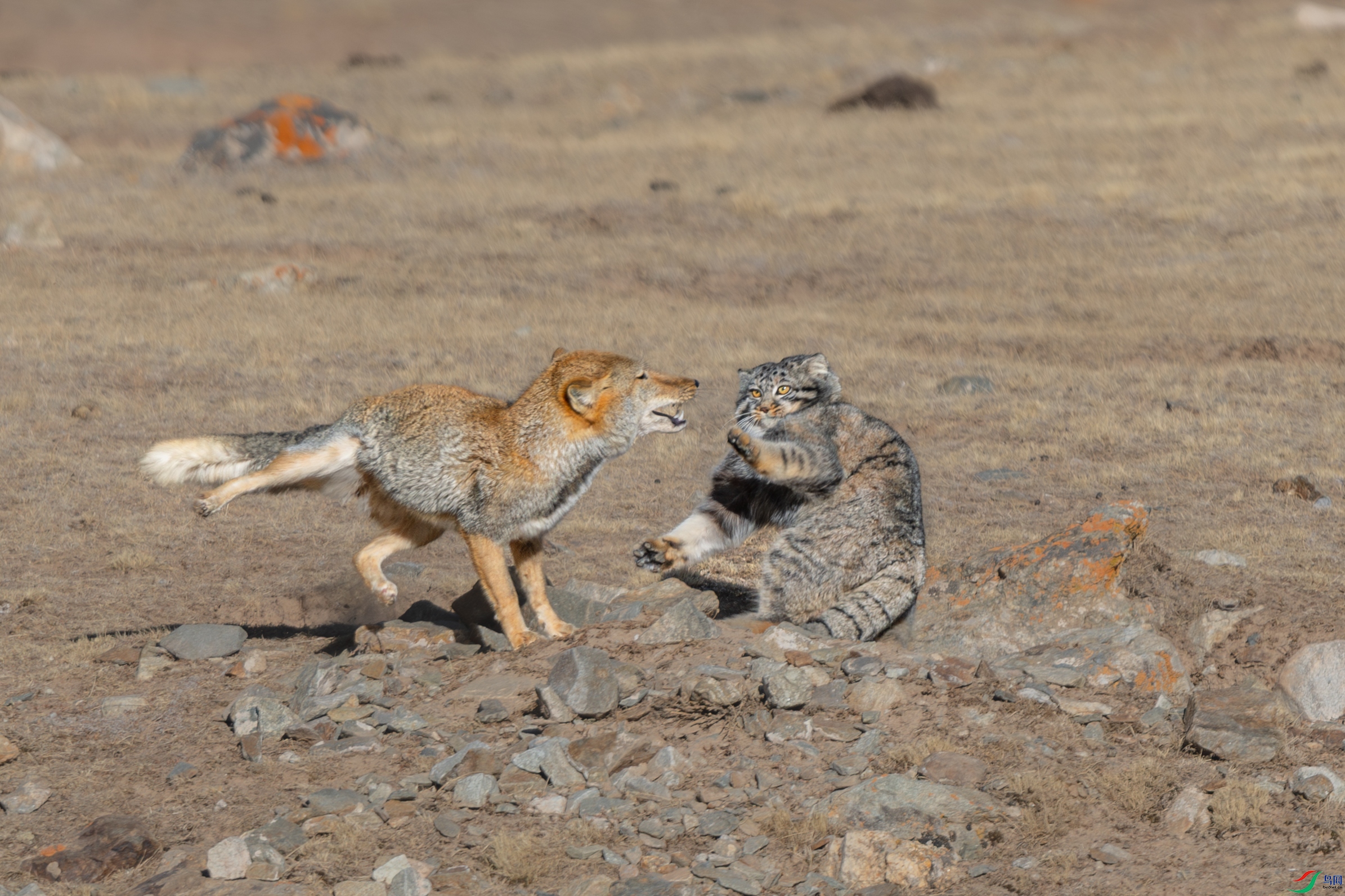 063A8771 ����.jpg