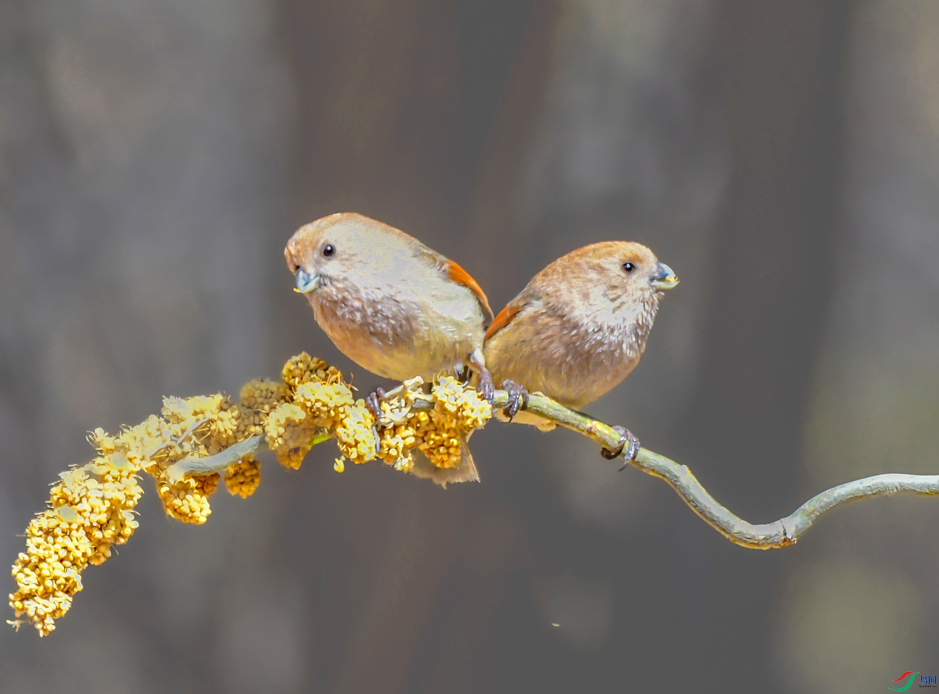 DSC_1215_��ͼ�� ����.jpg