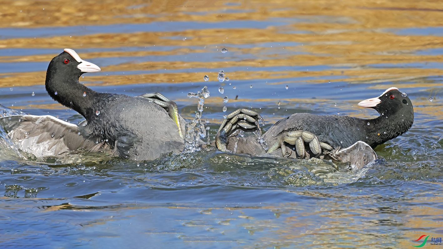 3U2A1049 ���� 2.jpg