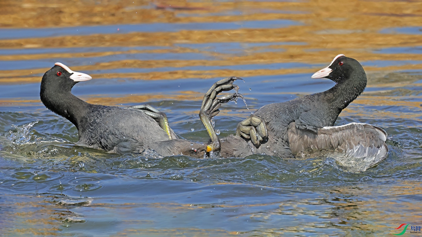 3U2A1052 ���� 2.jpg