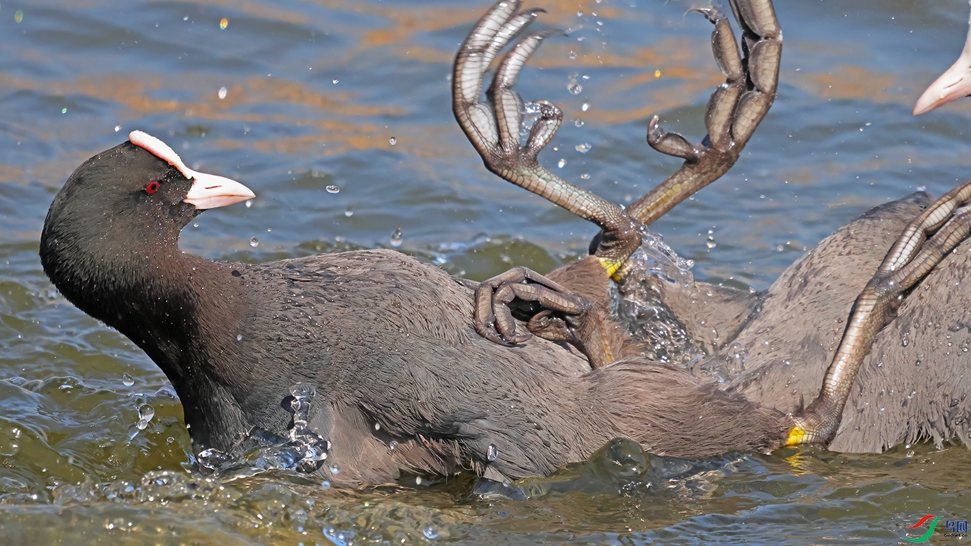 3U2A1135 ���� 2.jpg