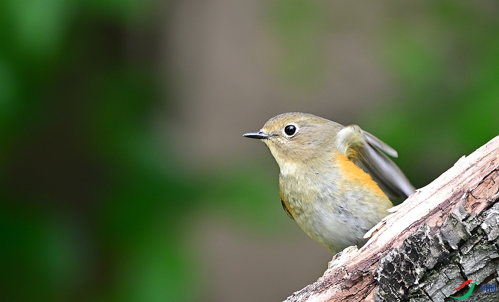 DSC_4457.JPG