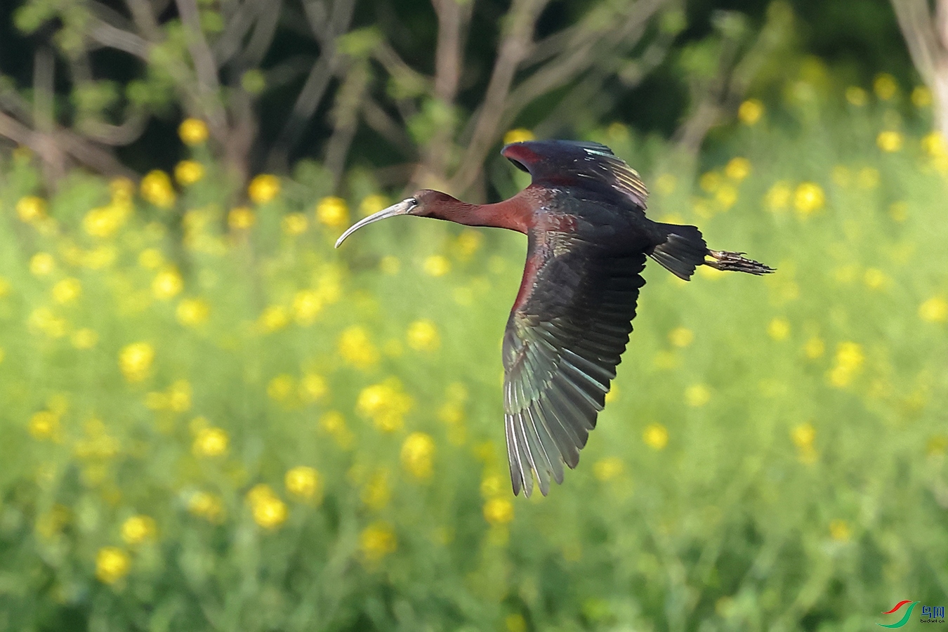 IMG_4863 ����.jpg