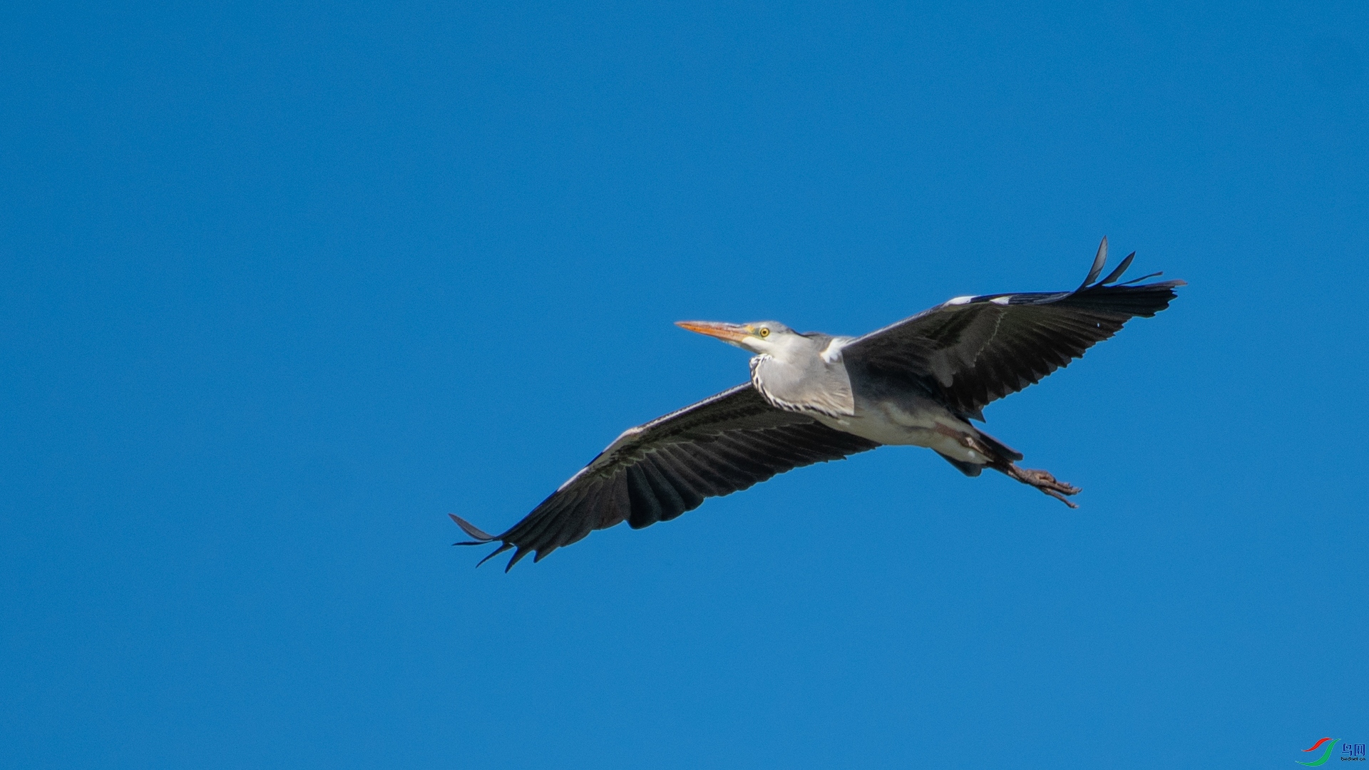 _DSC6206.jpg