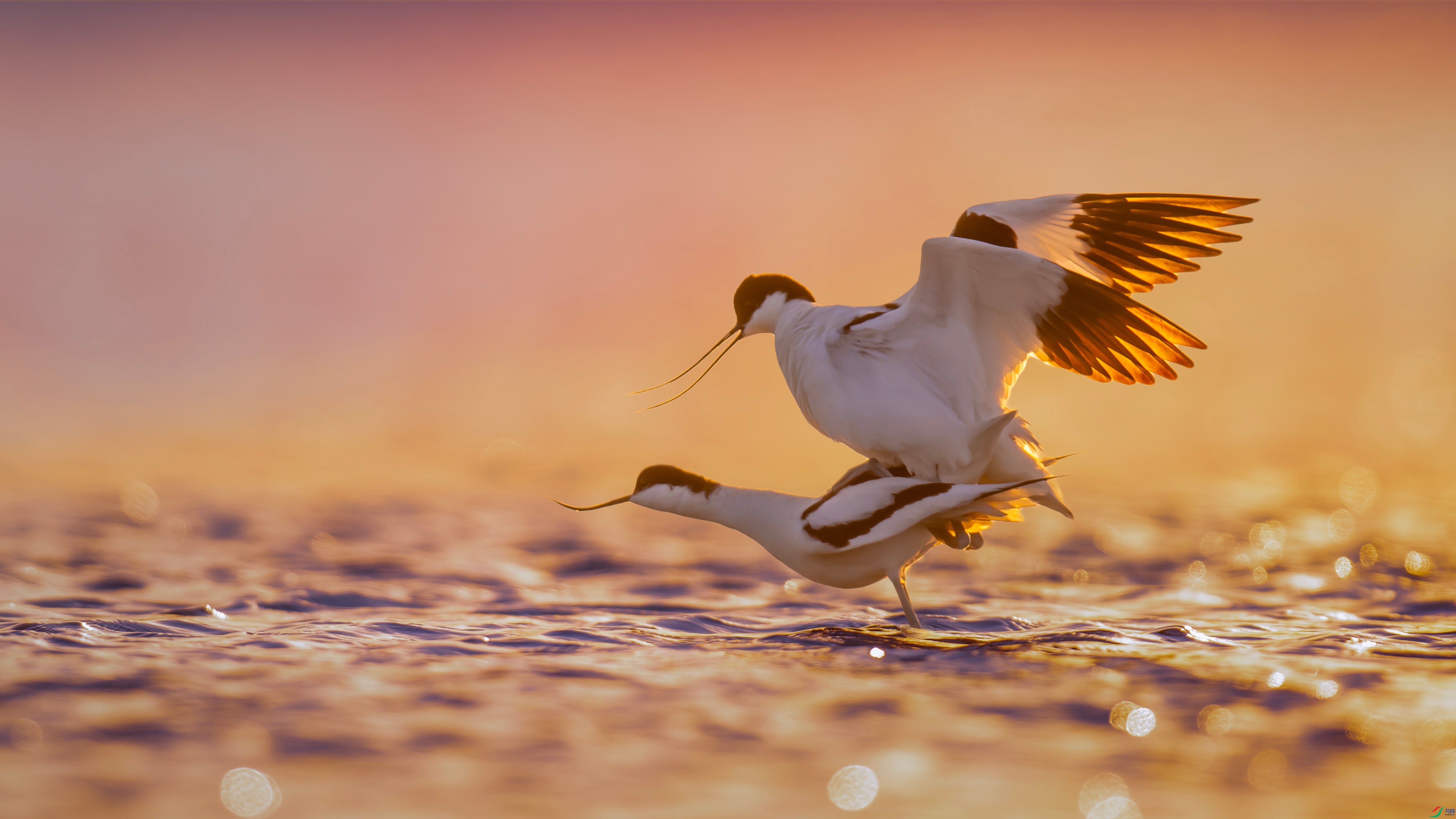 DSC_0995 ����2_����.jpg