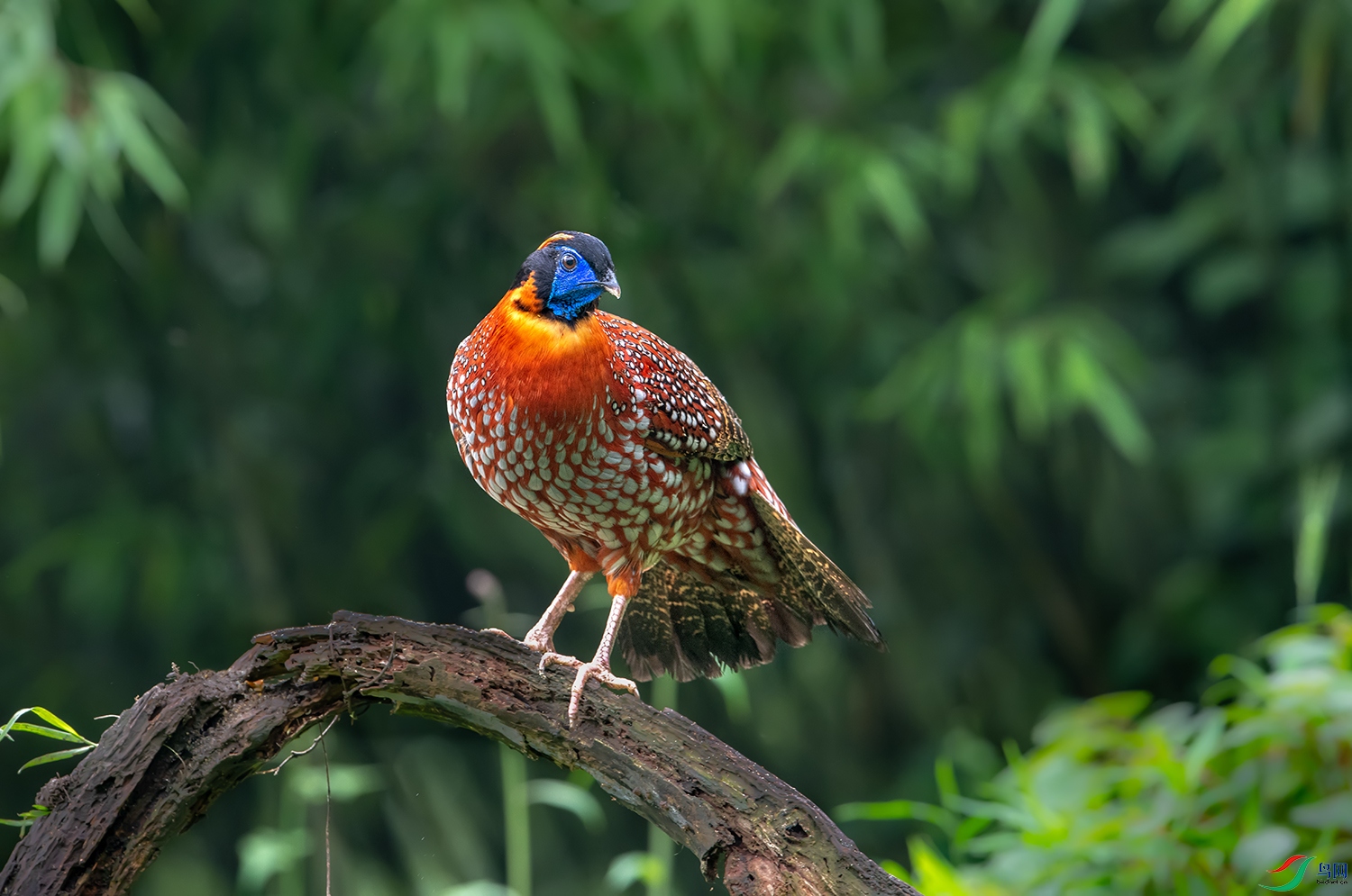 DSC_65351.jpg
