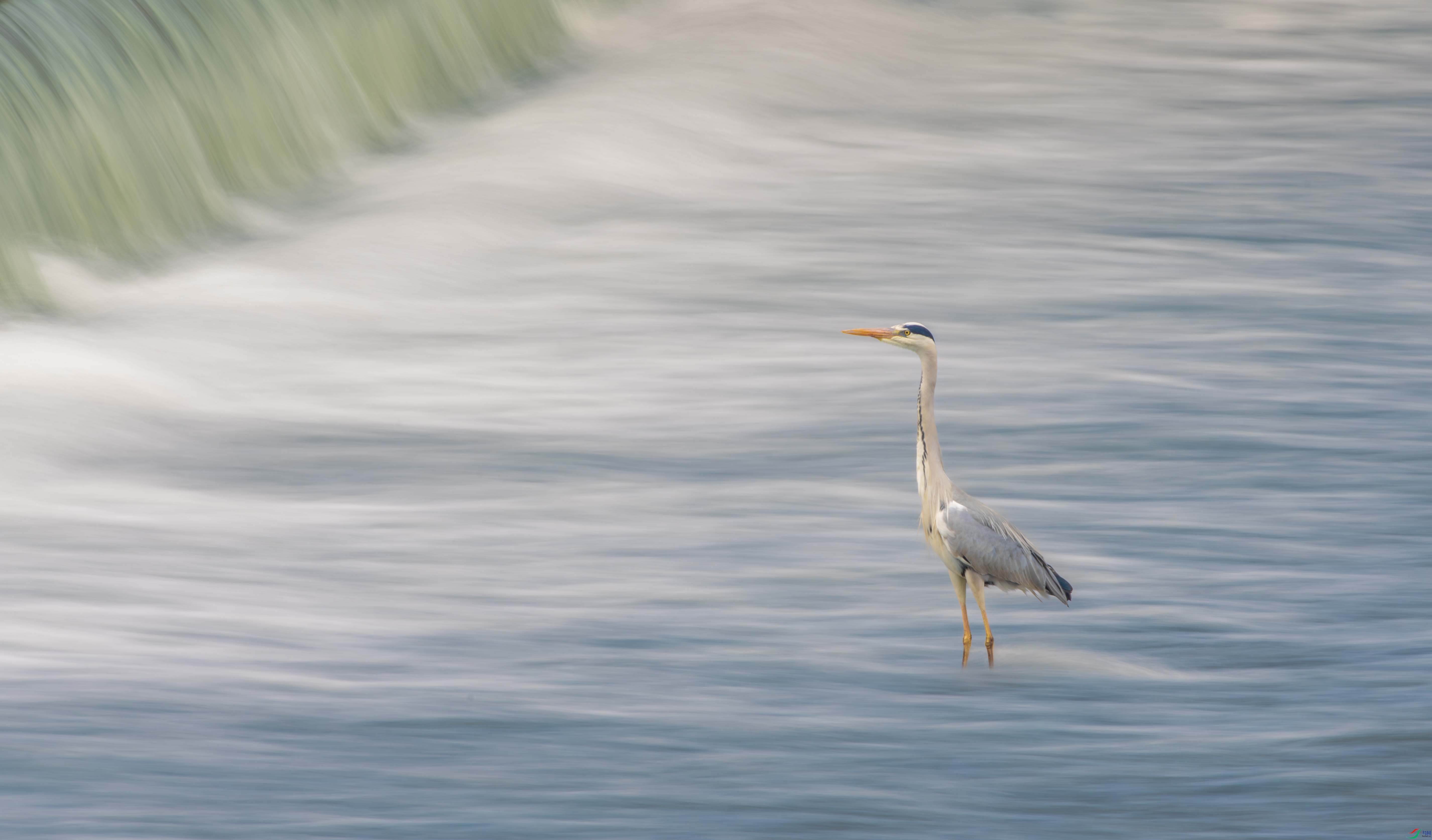 DSC_4133-1.jpg