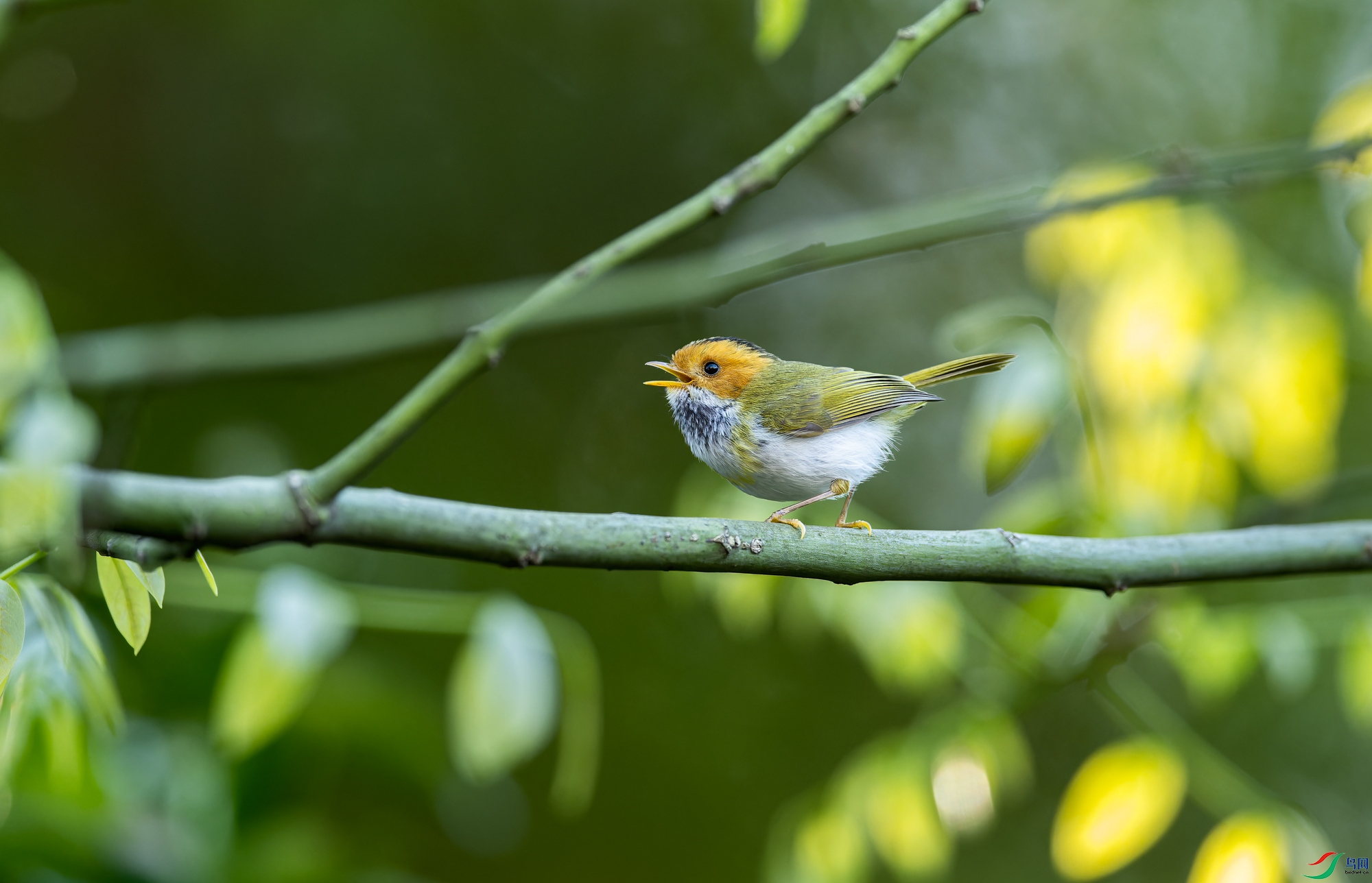 DSC_1598-NEF_DxO_DeepPRIMEXD-1.jpg