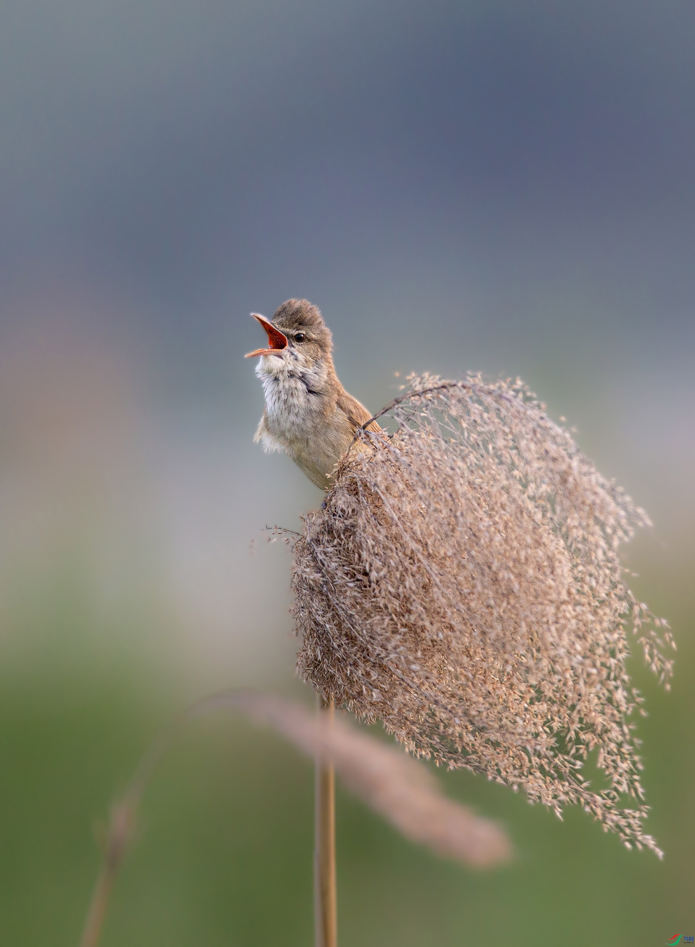 673A3479 ����.jpg