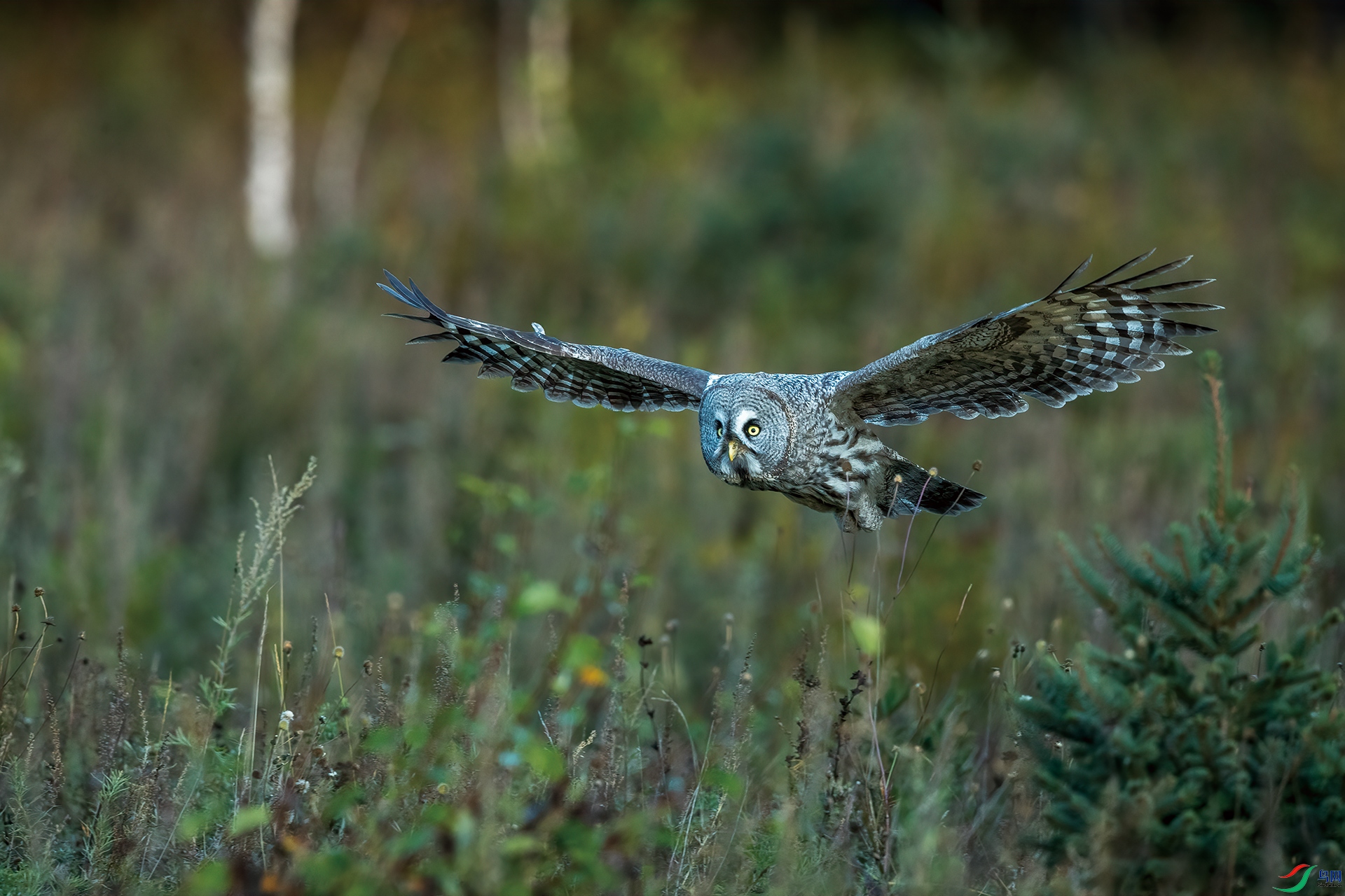 AM2I4573-1.jpg