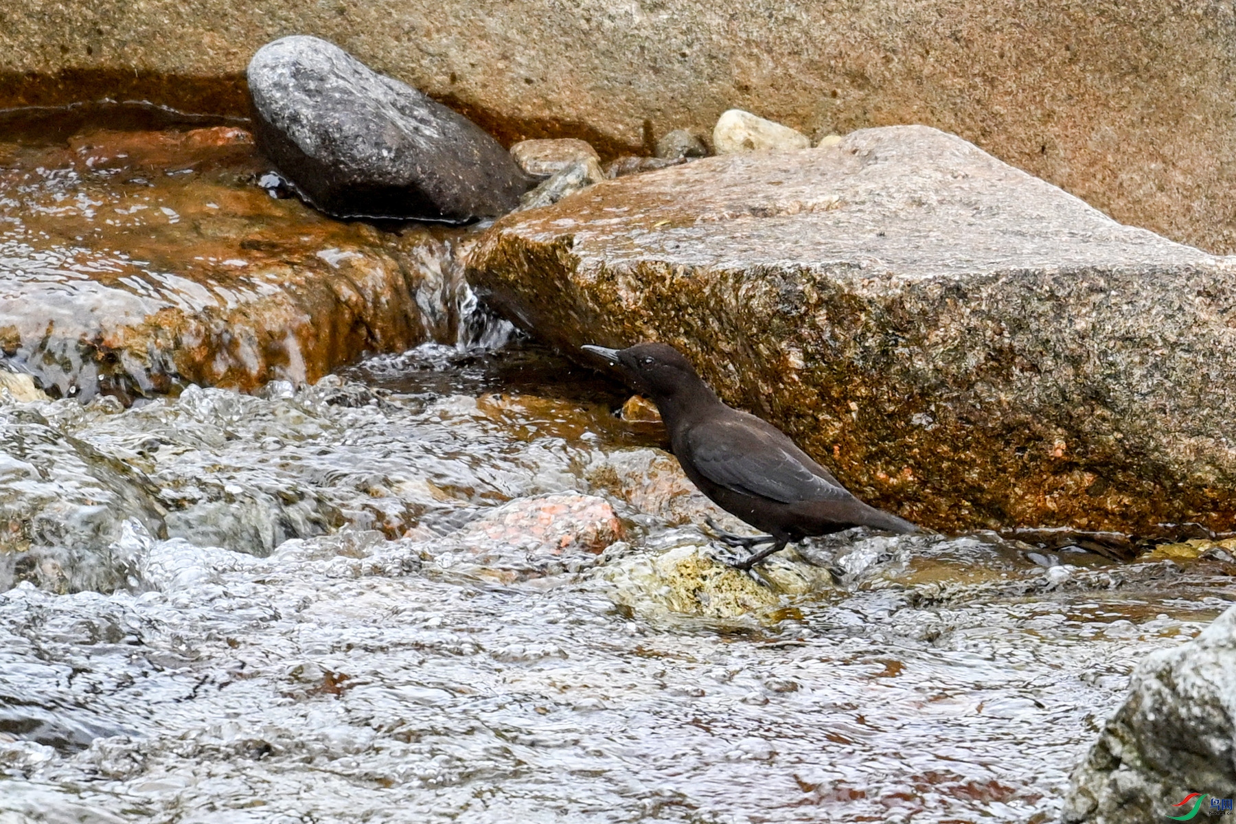 DSC_3480.JPG