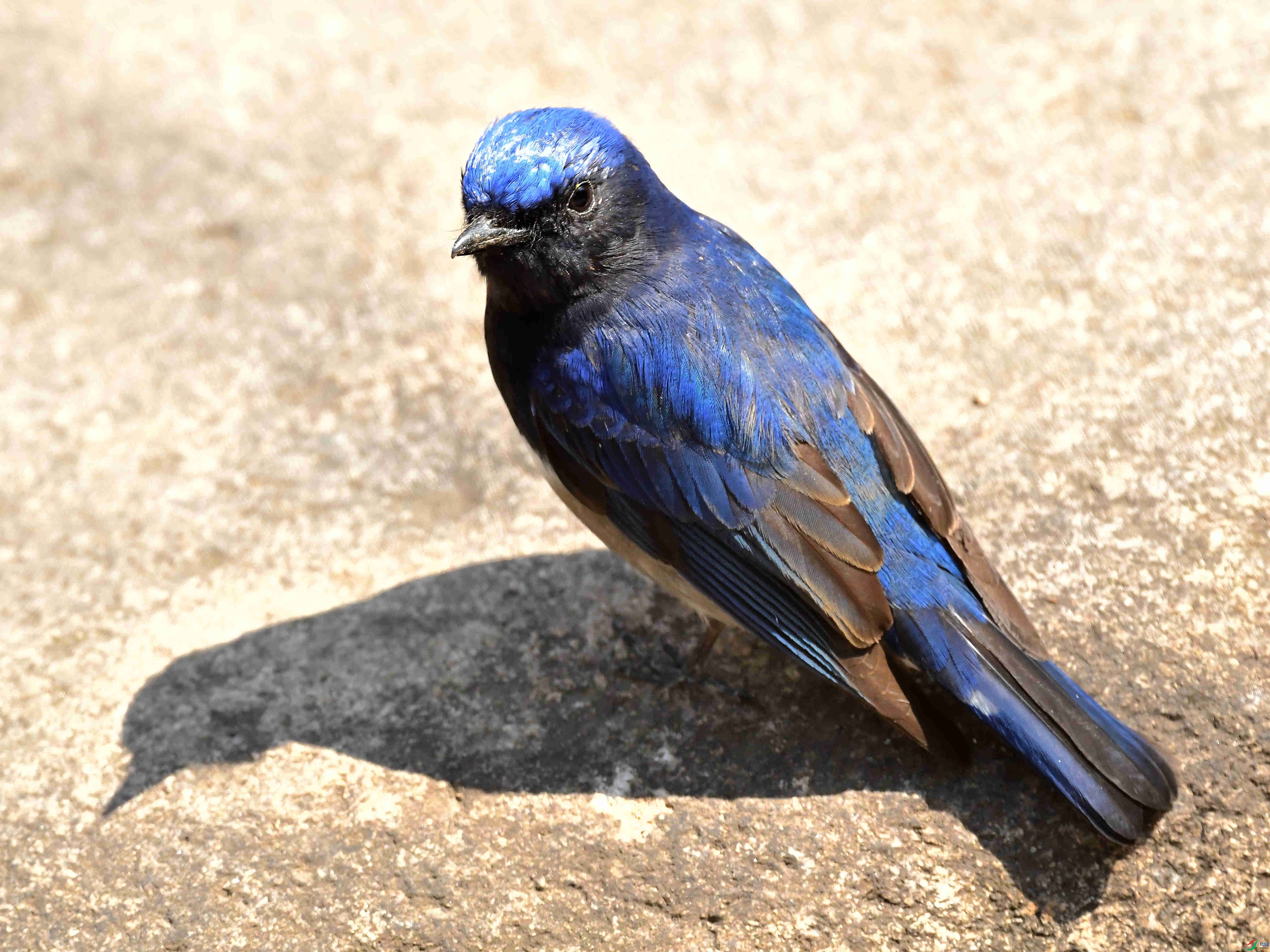 DSC_7197.jpg