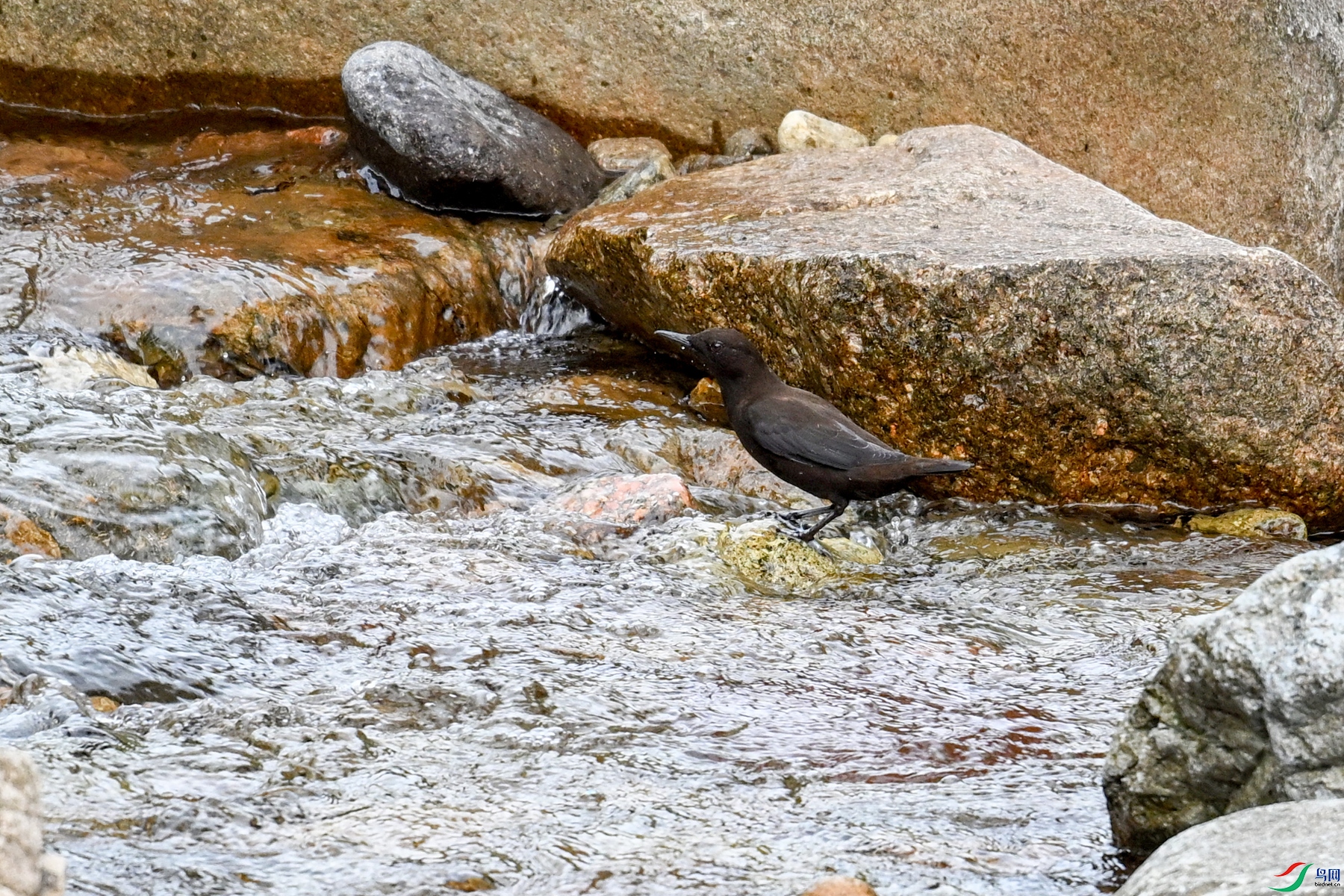DSC_3481.JPG