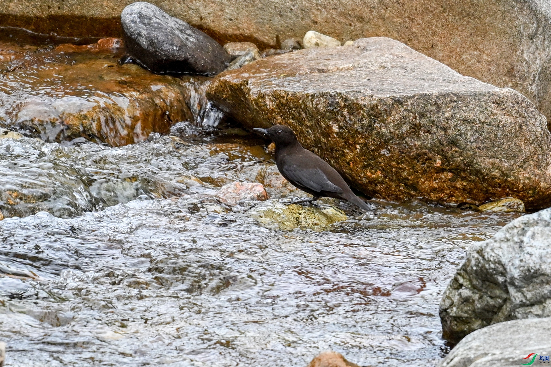 DSC_3482.JPG