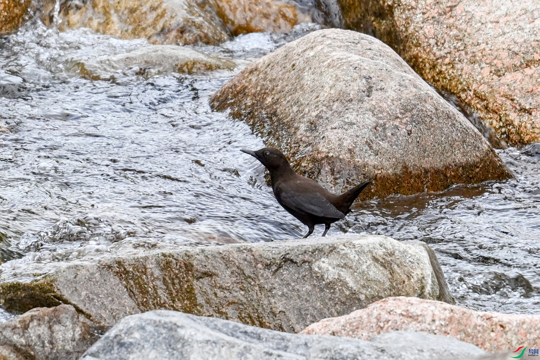 DSC_3497.JPG