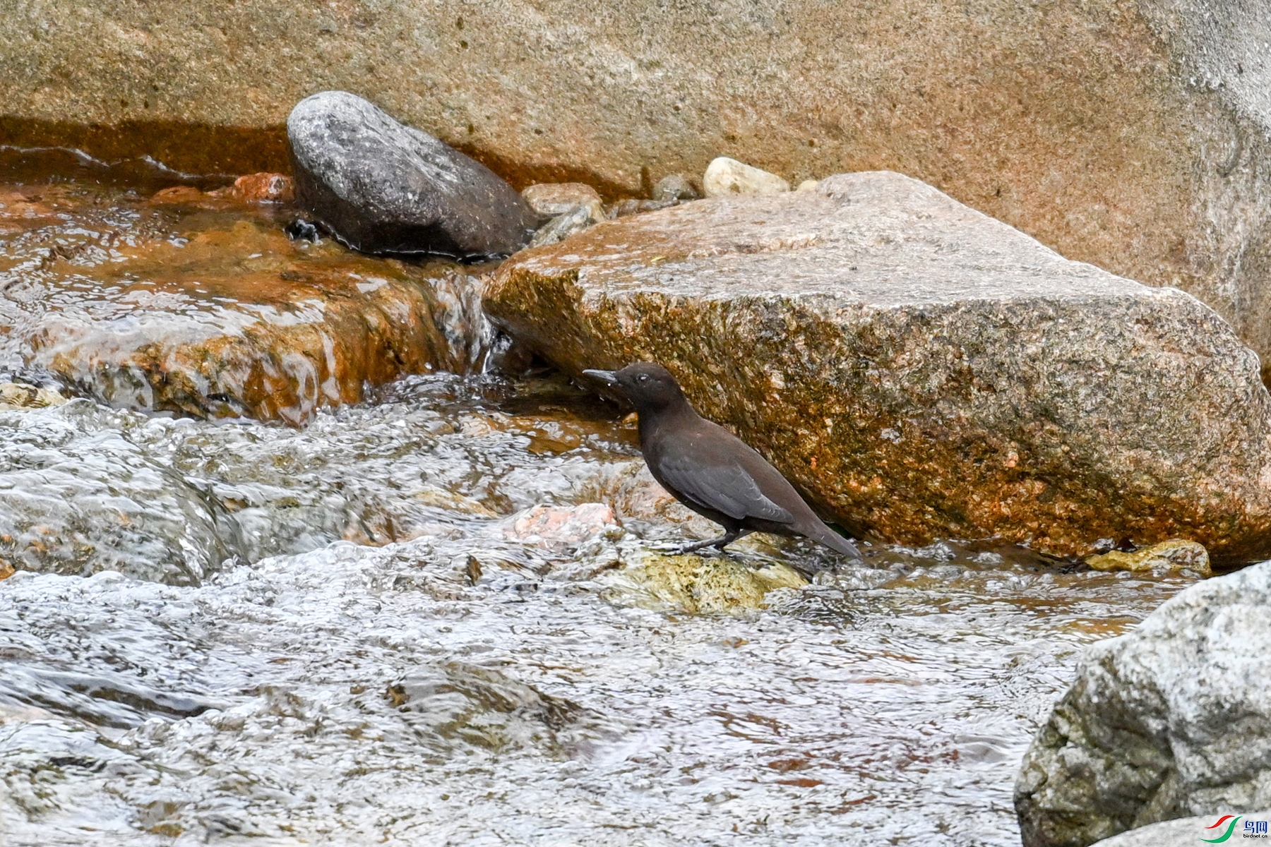 DSC_3483.JPG