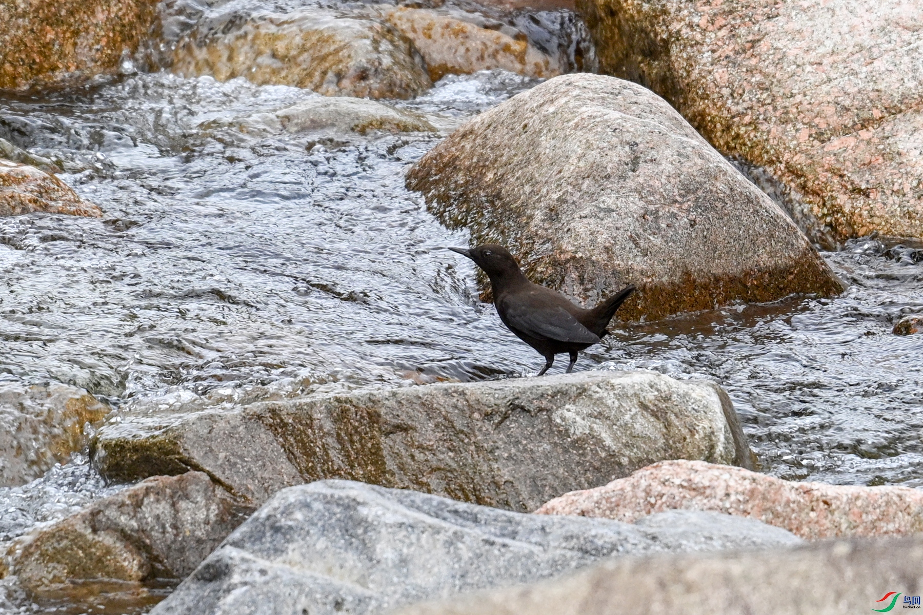 DSC_3499.JPG