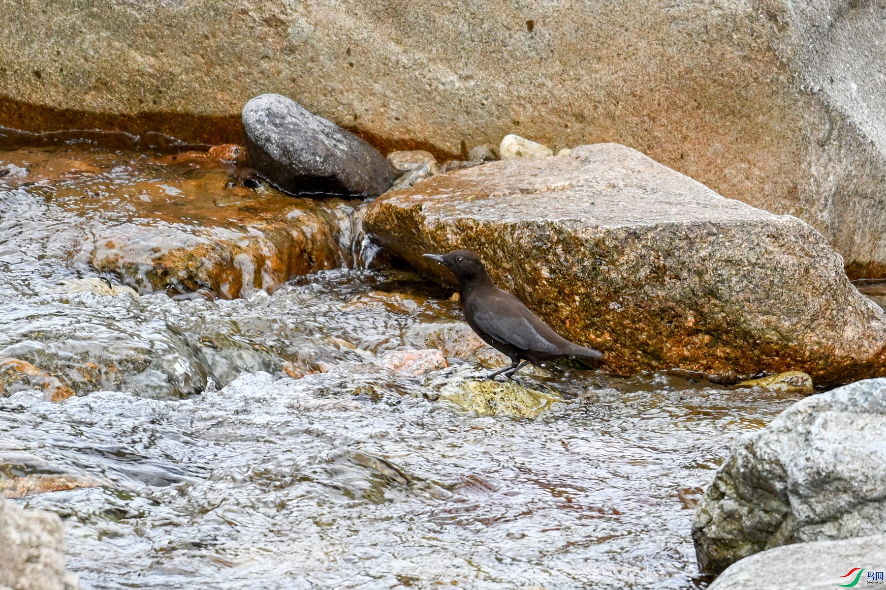 DSC_3484.JPG