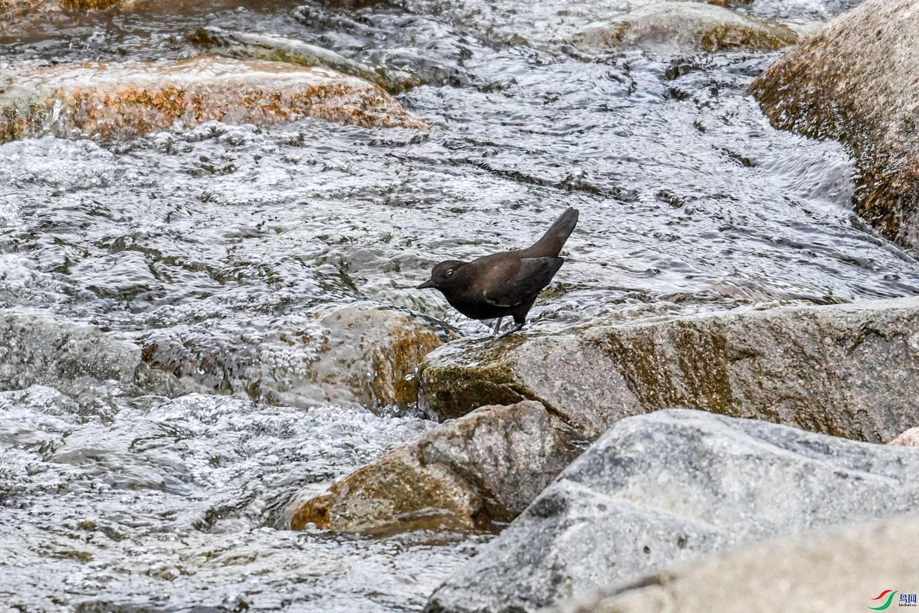 DSC_3501.JPG
