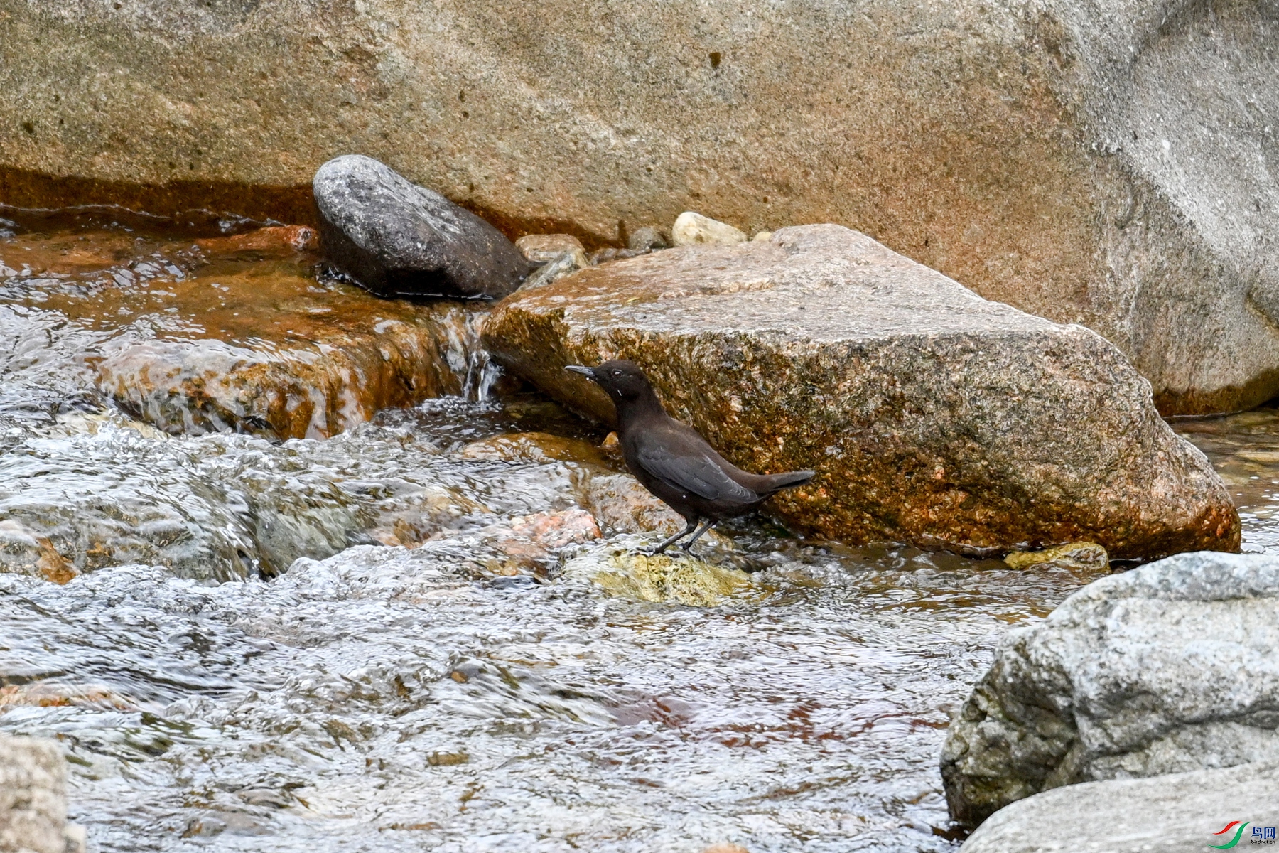 DSC_3485.JPG