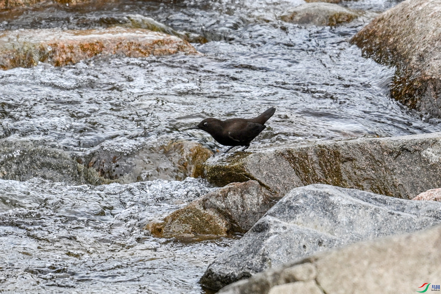 DSC_3503.JPG